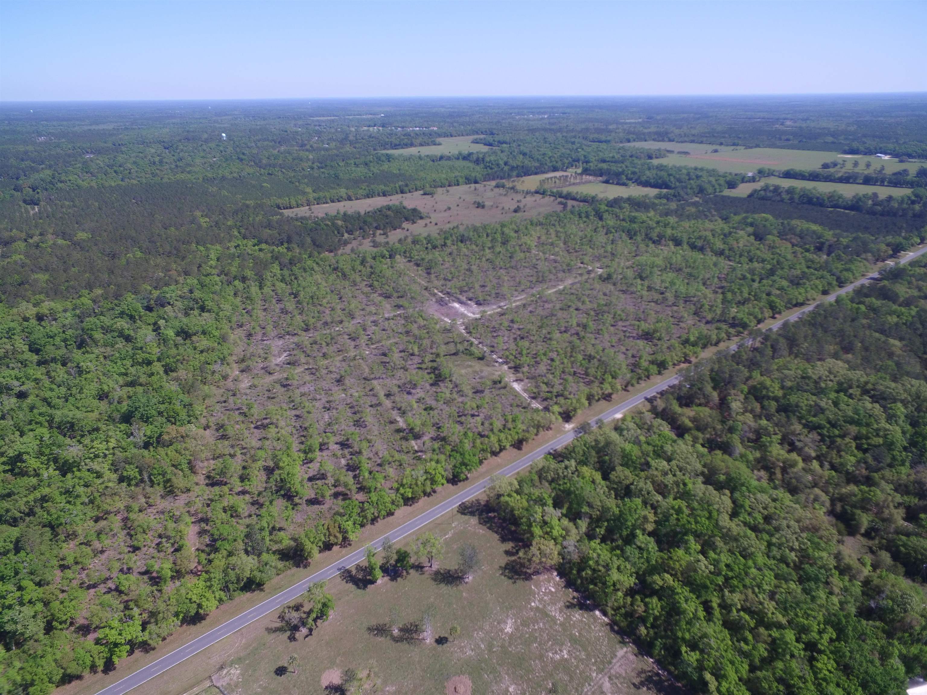 Xx Jack Crum Road, Crawfordville, Texas image 12