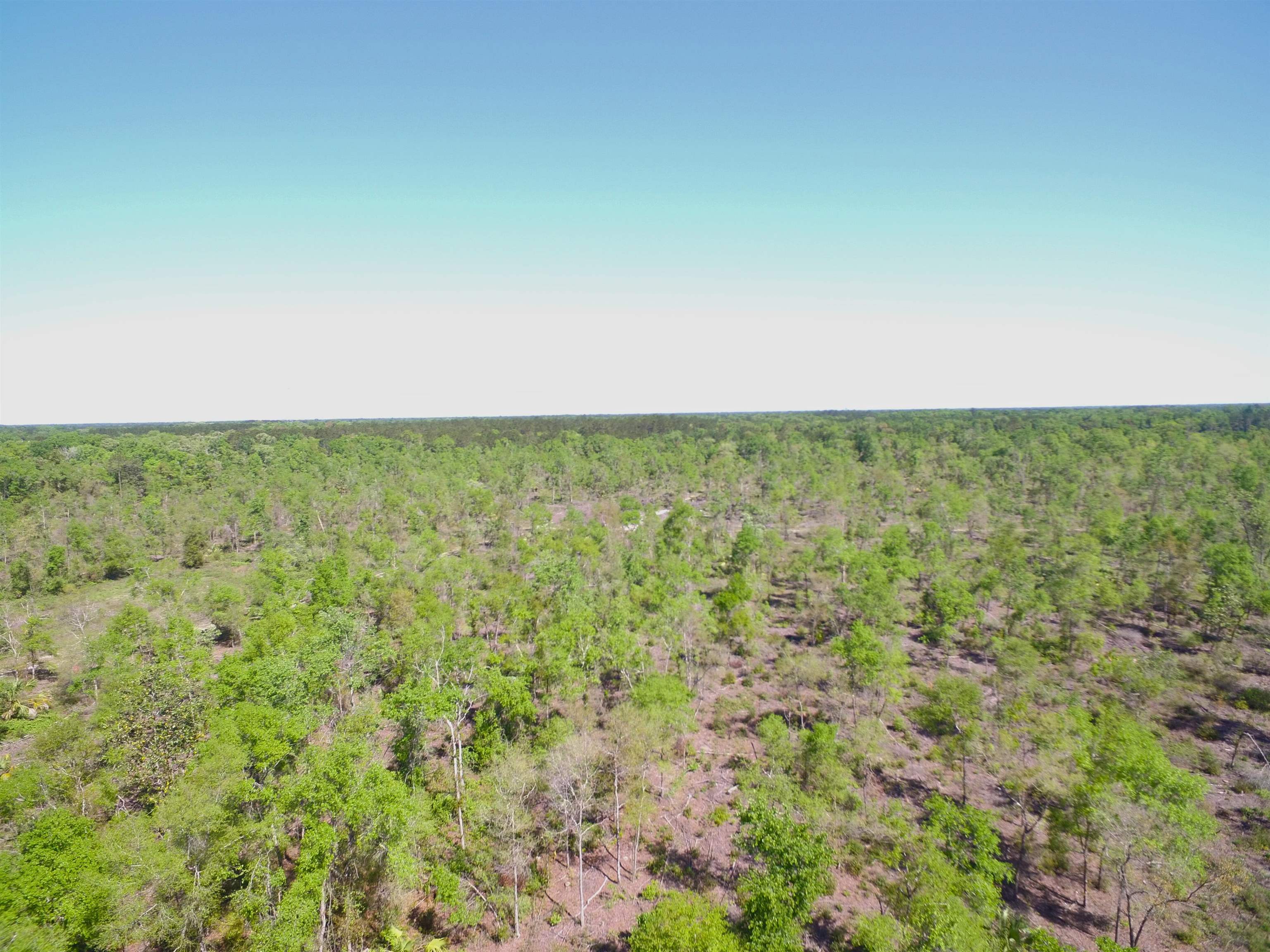 Xx Jack Crum Road, Crawfordville, Texas image 15