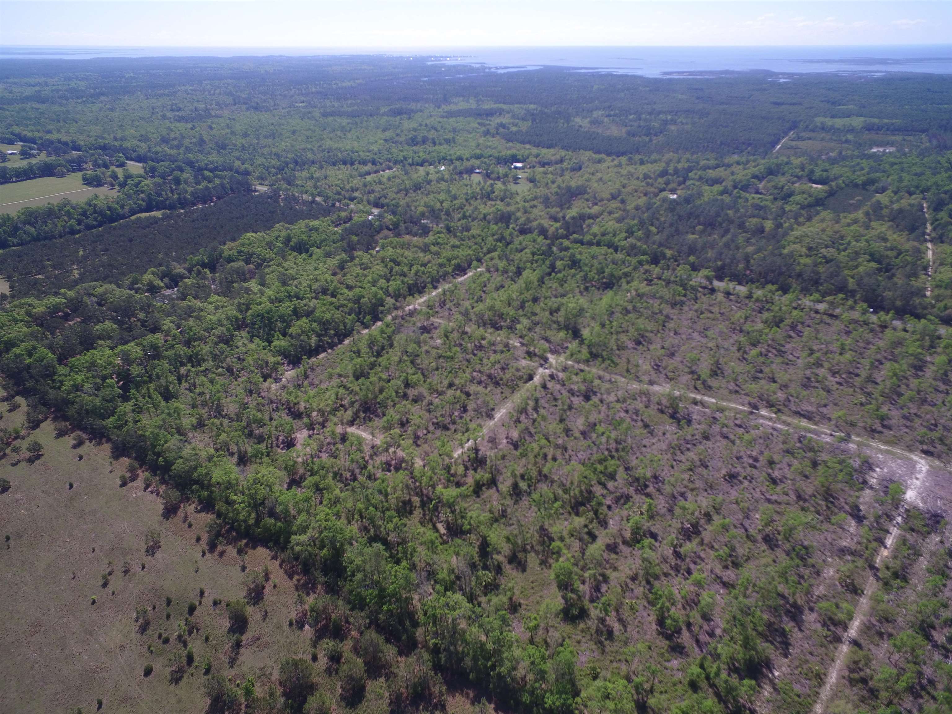 Xx Jack Crum Road, Crawfordville, Texas image 4