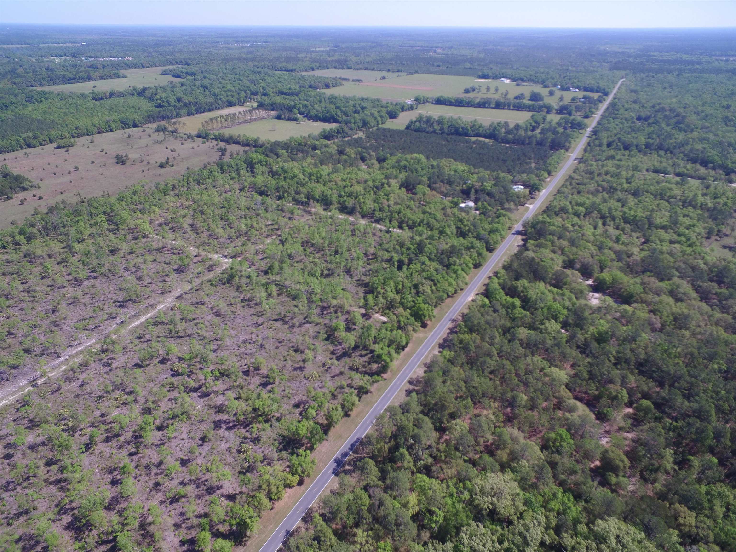 Xx Jack Crum Road, Crawfordville, Texas image 5