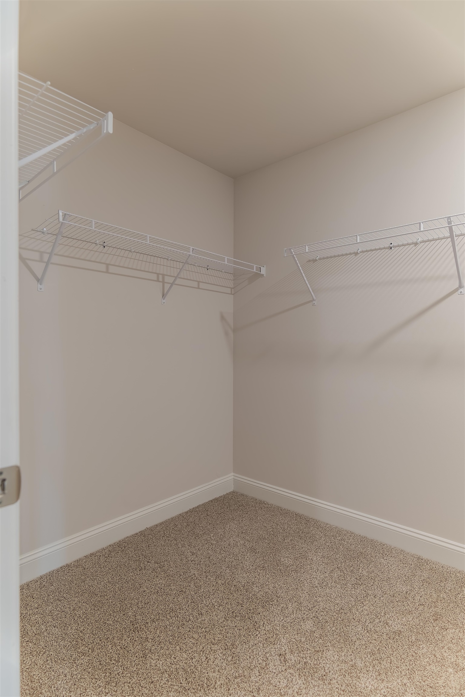 119 Pruitt Drive, Crawfordville, Florida image 19
