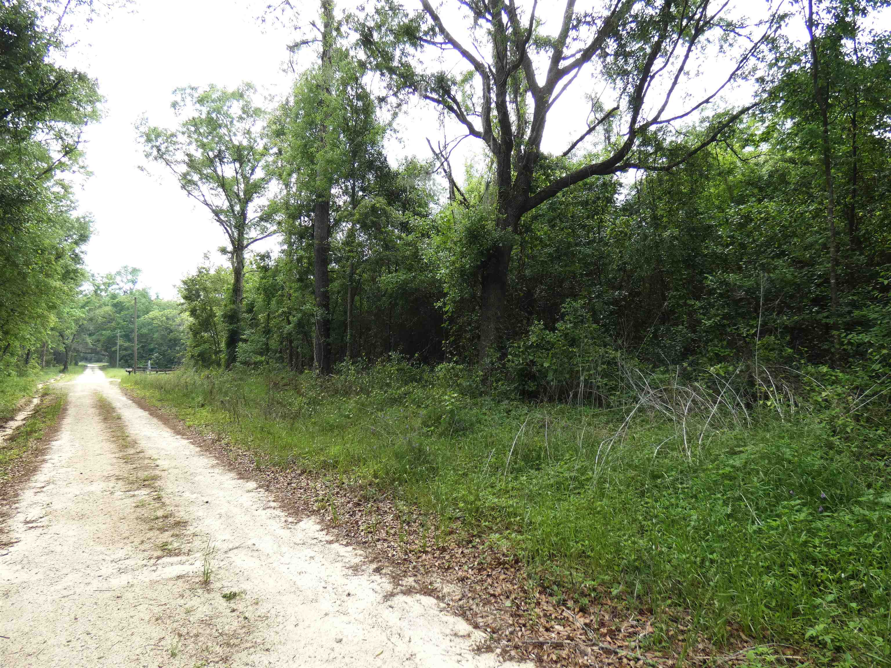 TBD Devane Road, Monticello, Florida image 1