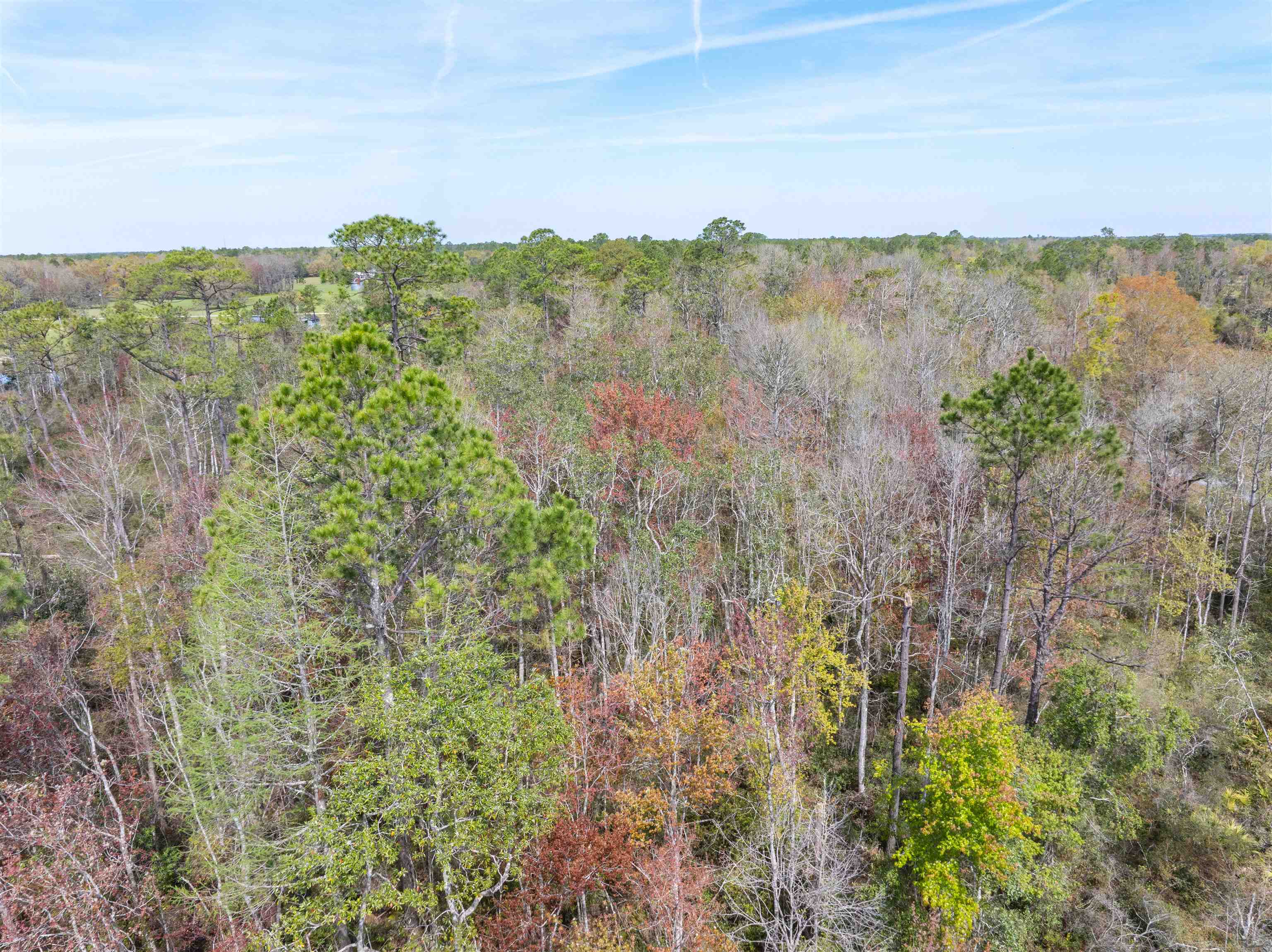 3445 Preston Sheffield Road, Perry, Florida image 13