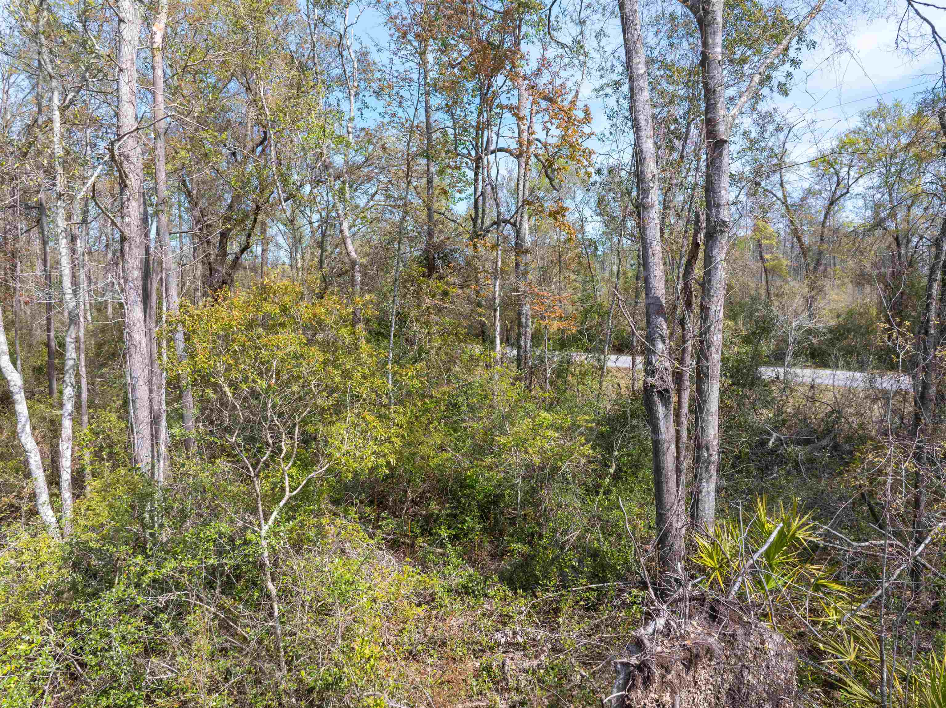 3445 Preston Sheffield Road, Perry, Florida image 14