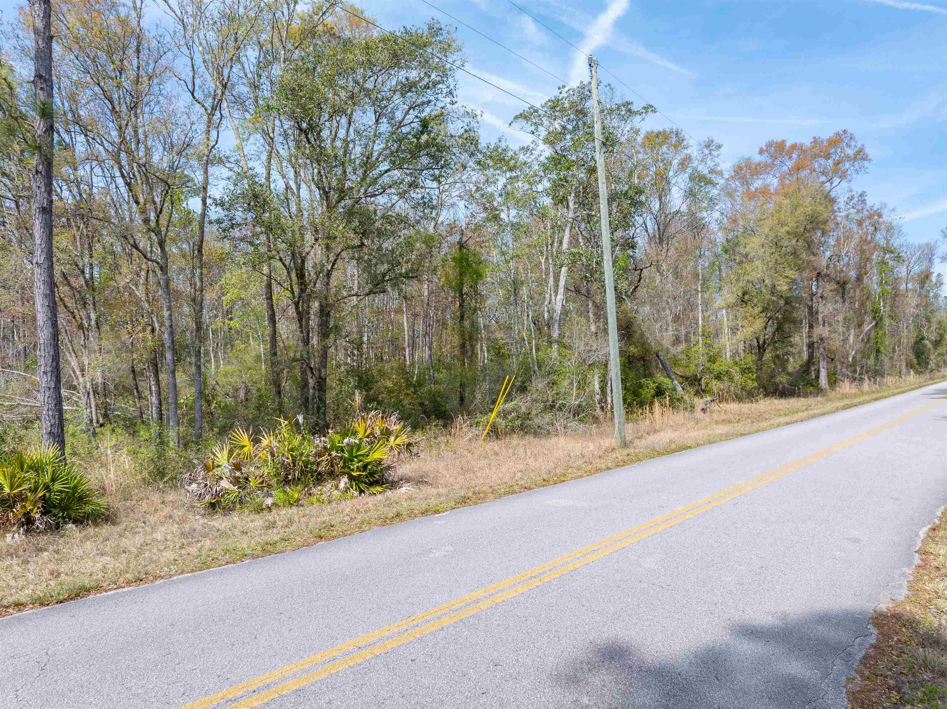 3445 Preston Sheffield Road, Perry, Florida image 2