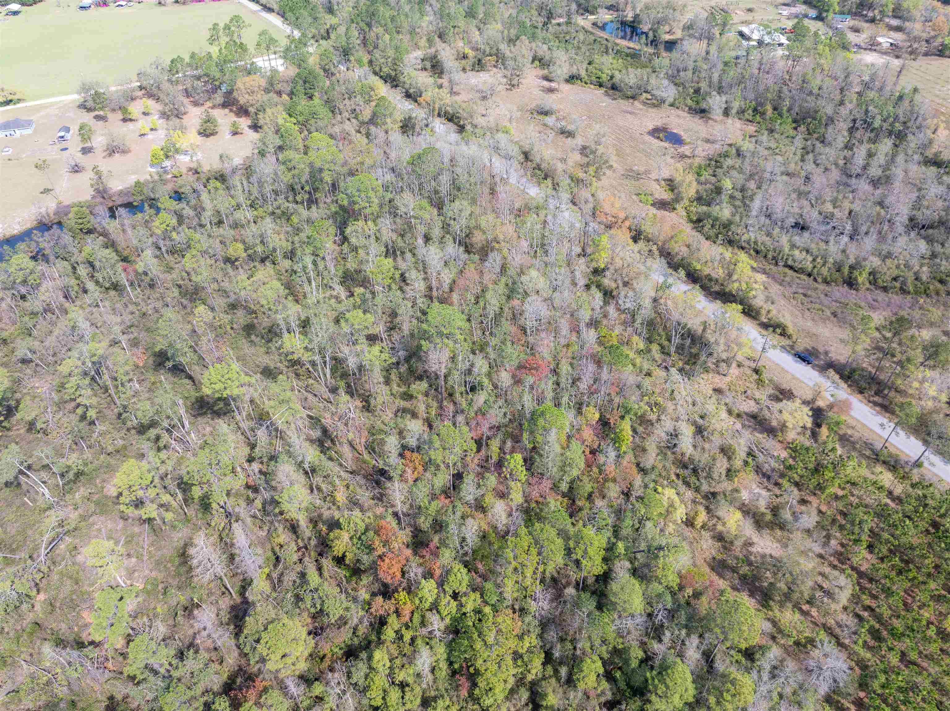 3445 Preston Sheffield Road, Perry, Florida image 4