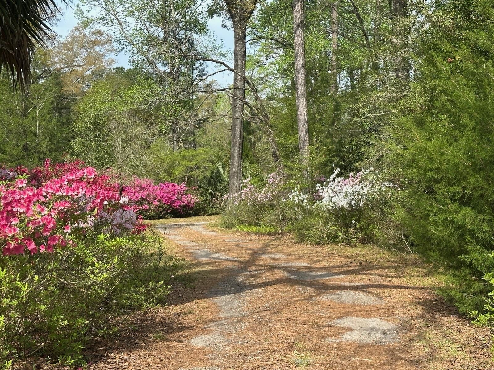 71 River Sink Road, Crawfordville, Texas image 30