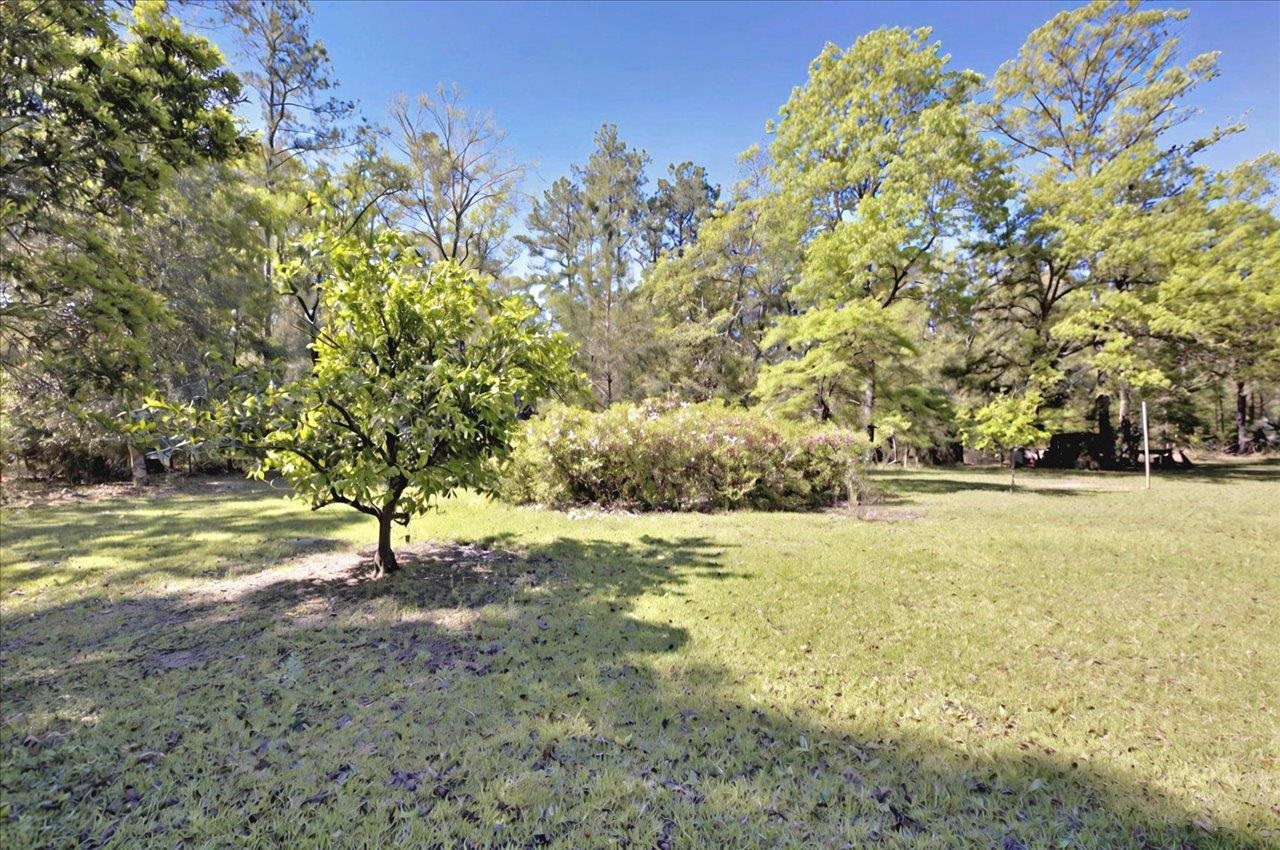 71 River Sink Road, Crawfordville, Texas image 31