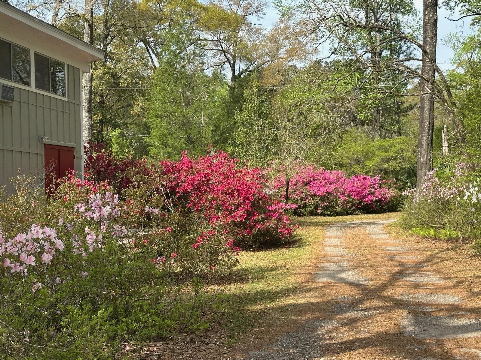 71 River Sink Road, Crawfordville, Texas image 33