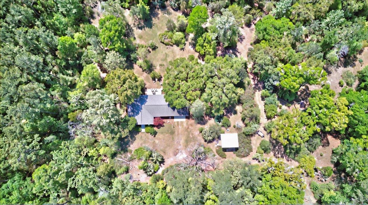 71 River Sink Road, Crawfordville, Texas image 36