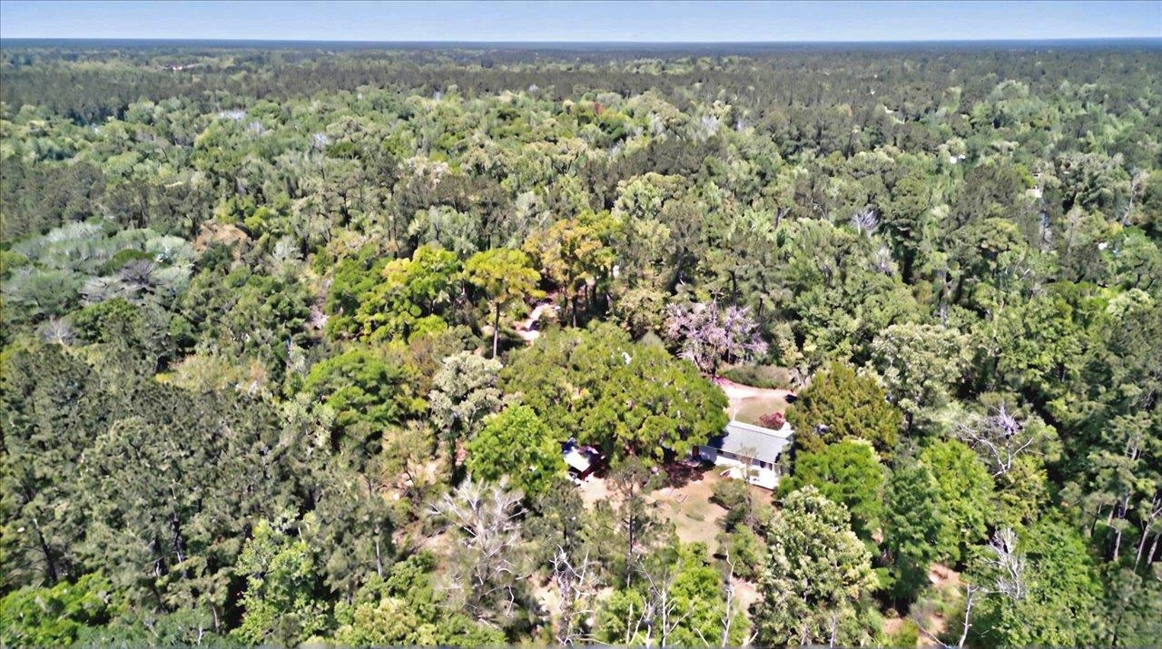 71 River Sink Road, Crawfordville, Texas image 41