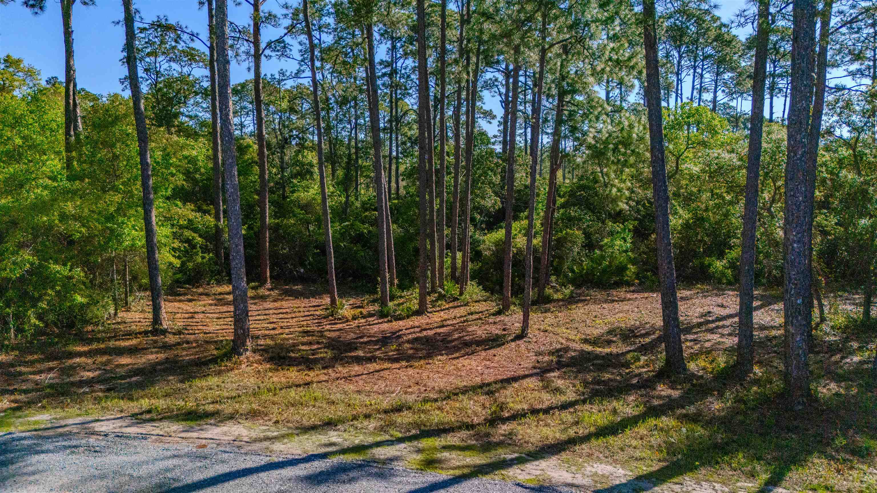 3493 Firefly Circle, St Teresa, Texas image 3