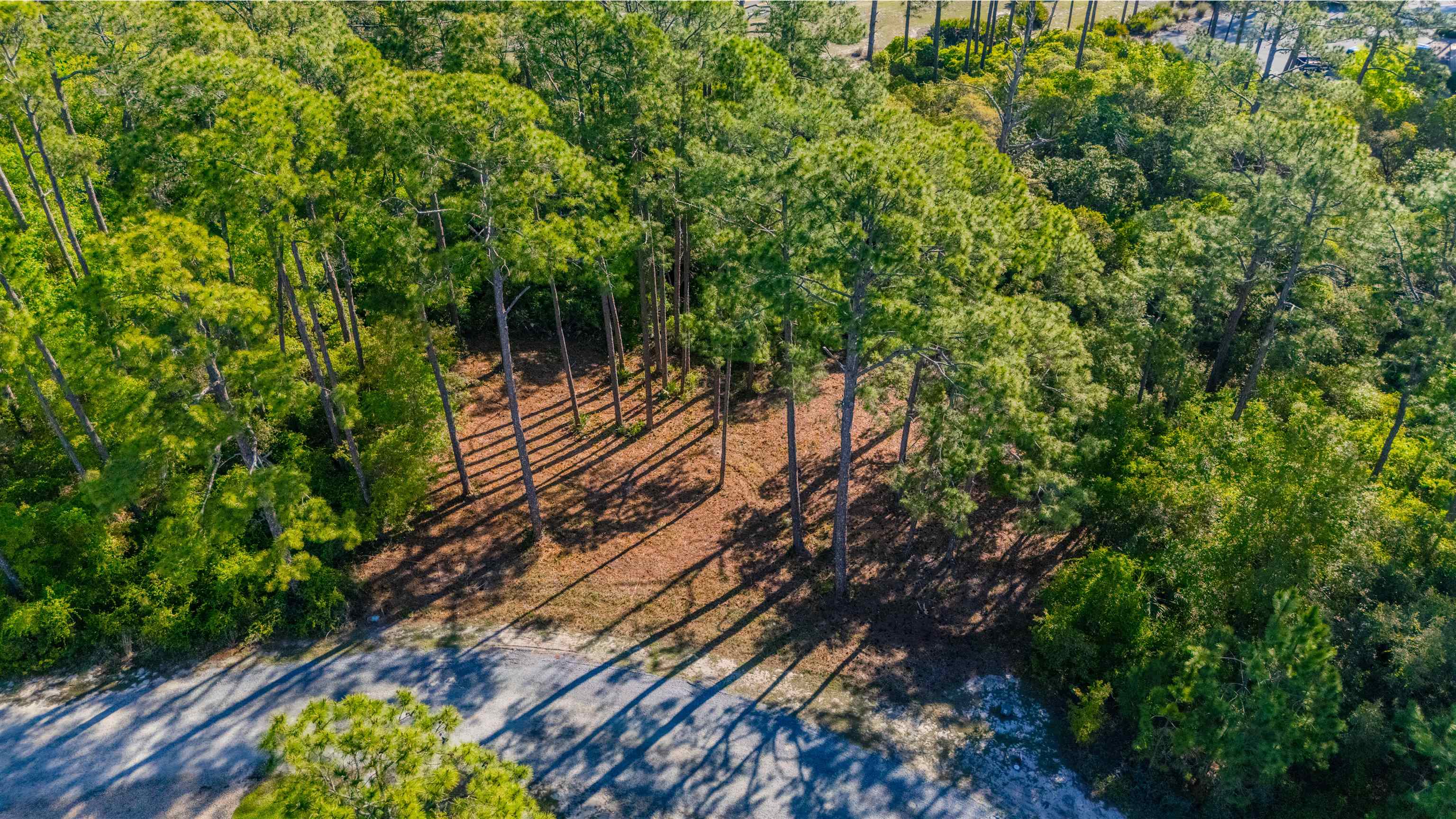 3493 Firefly Circle, St Teresa, Texas image 4