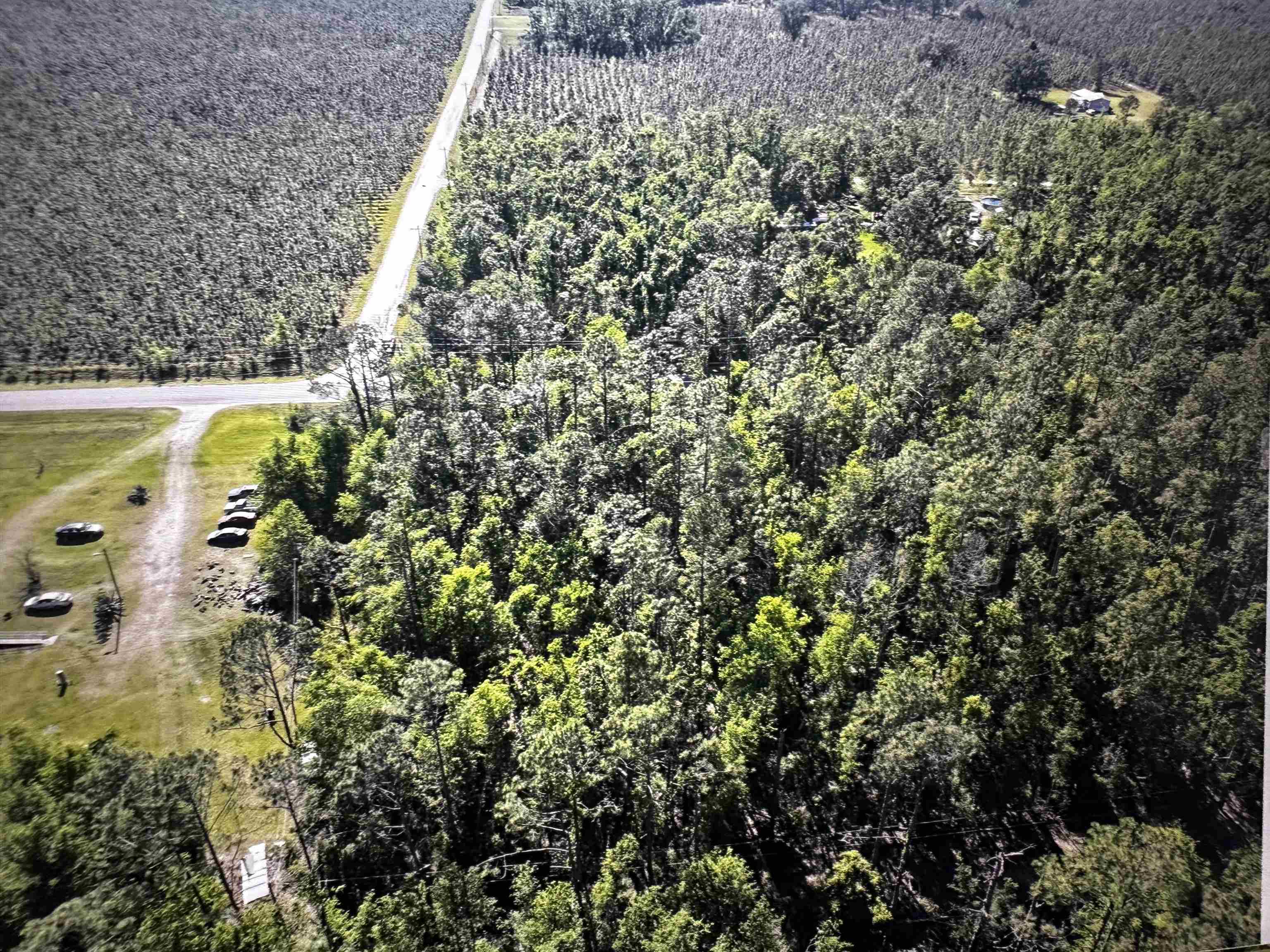 000 SE Apache Avenue, Lee, Florida image 4