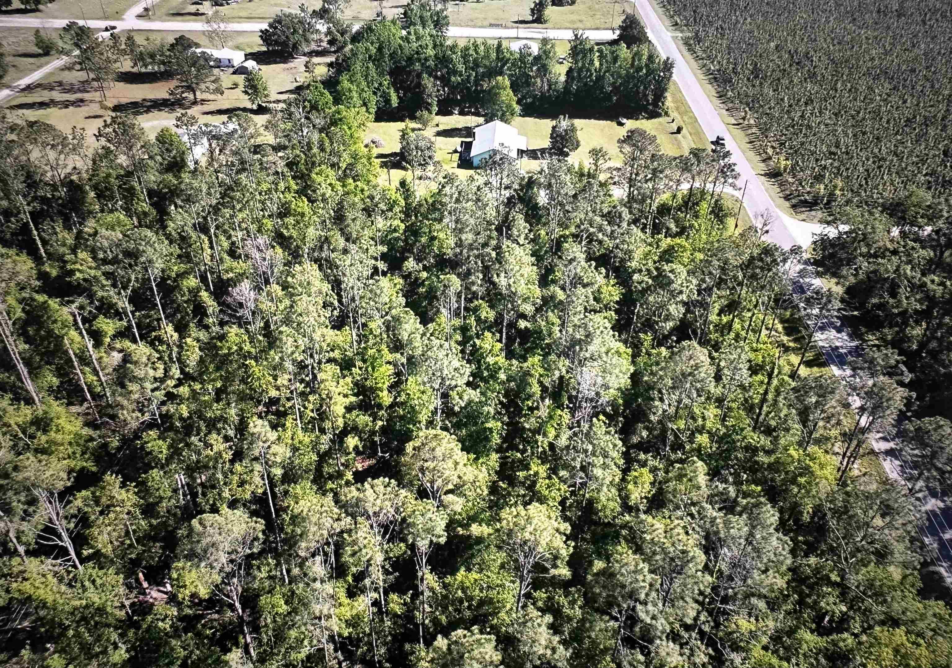 000 SE Apache Avenue, Lee, Florida image 5