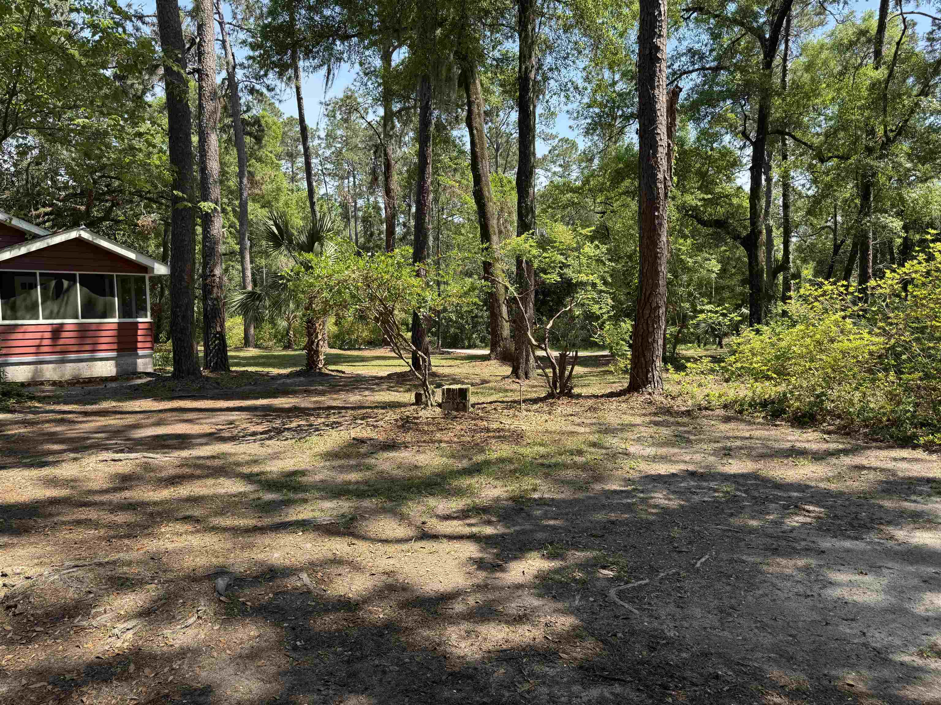 188 Oak Street, Crawfordville, Florida image 27