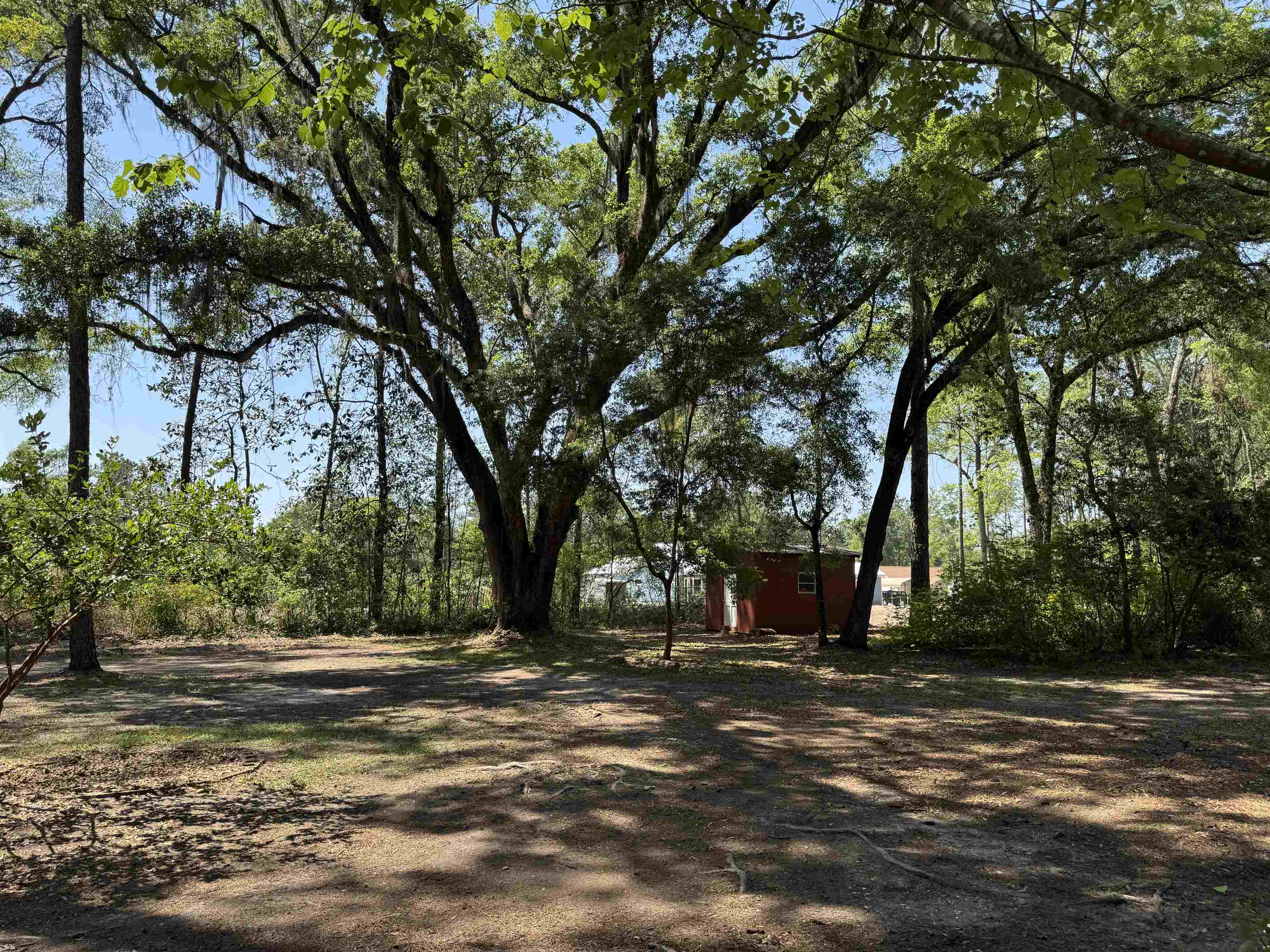 188 Oak Street, Crawfordville, Florida image 28