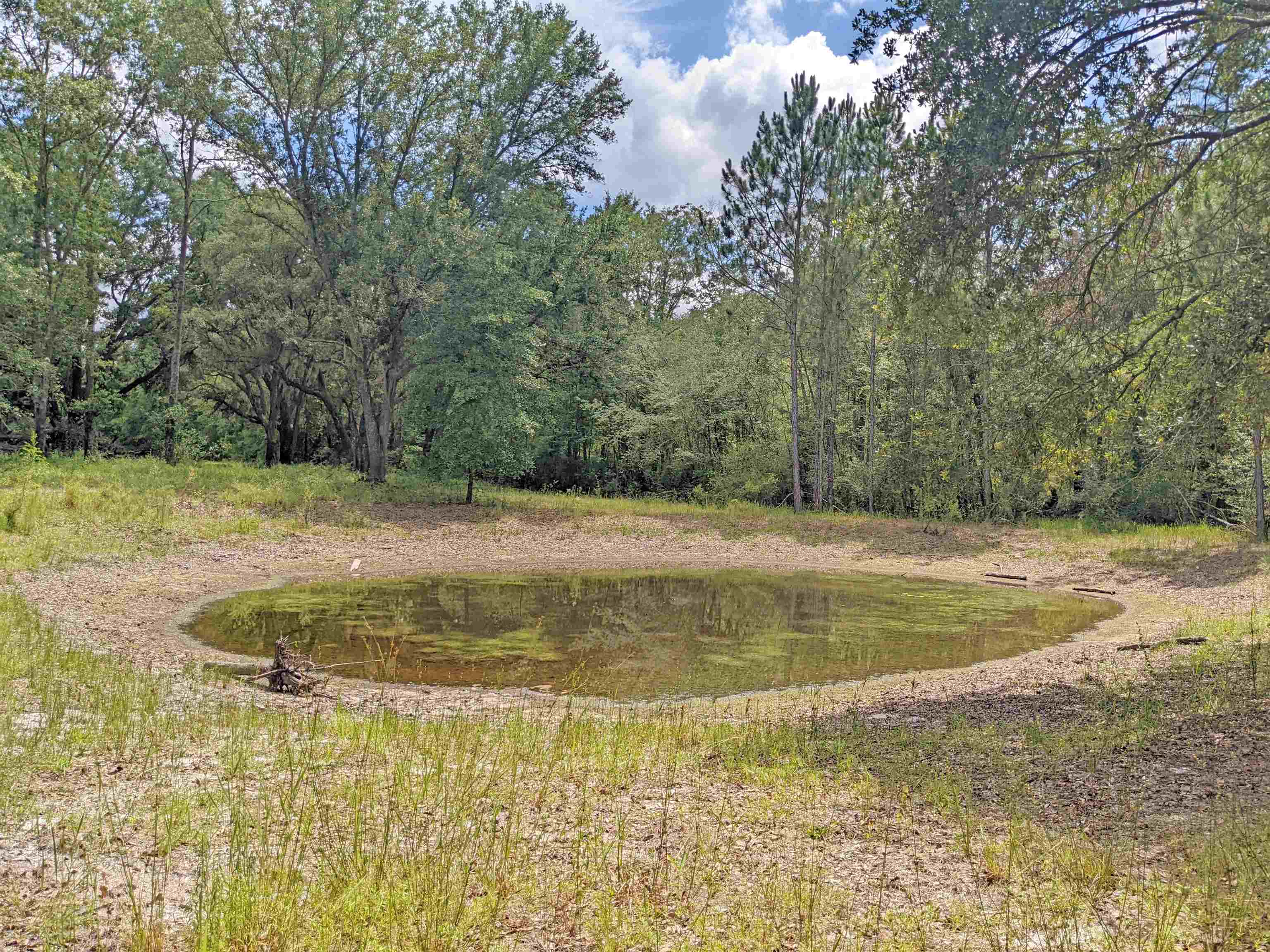 12778 S Cr 53, Lee, Florida image 40