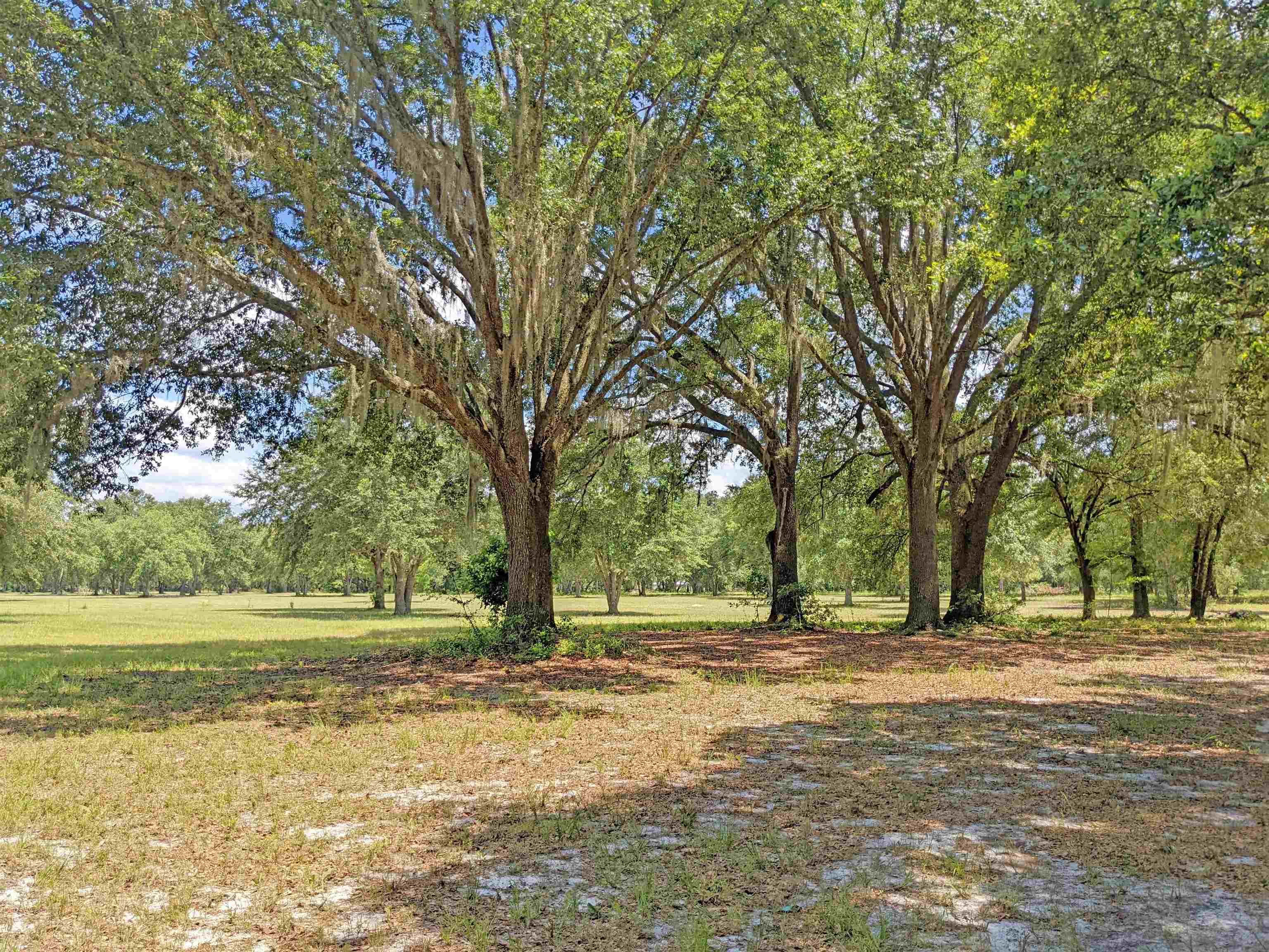 12778 S Cr 53, Lee, Florida image 41