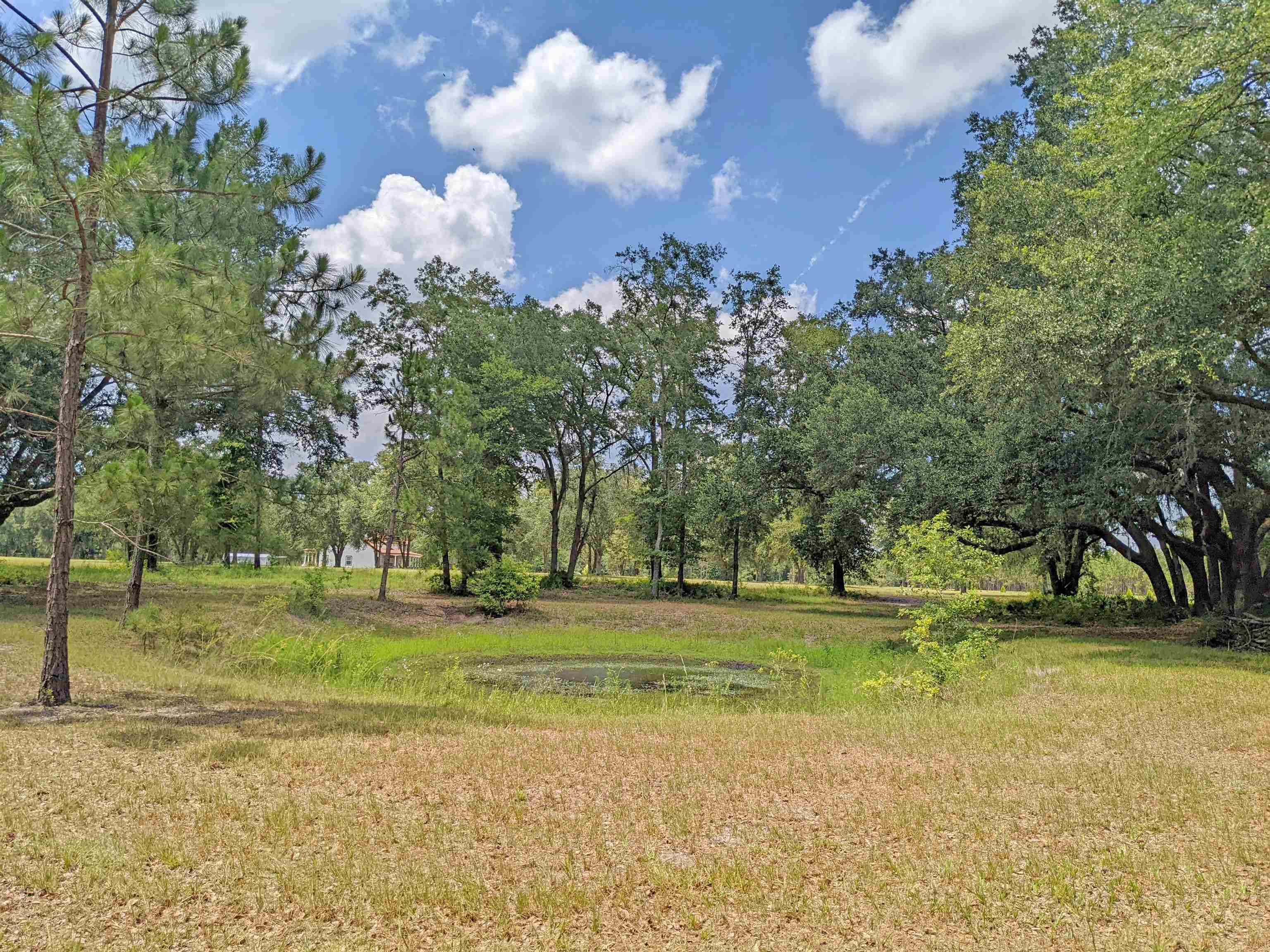 12778 S Cr 53, Lee, Florida image 42