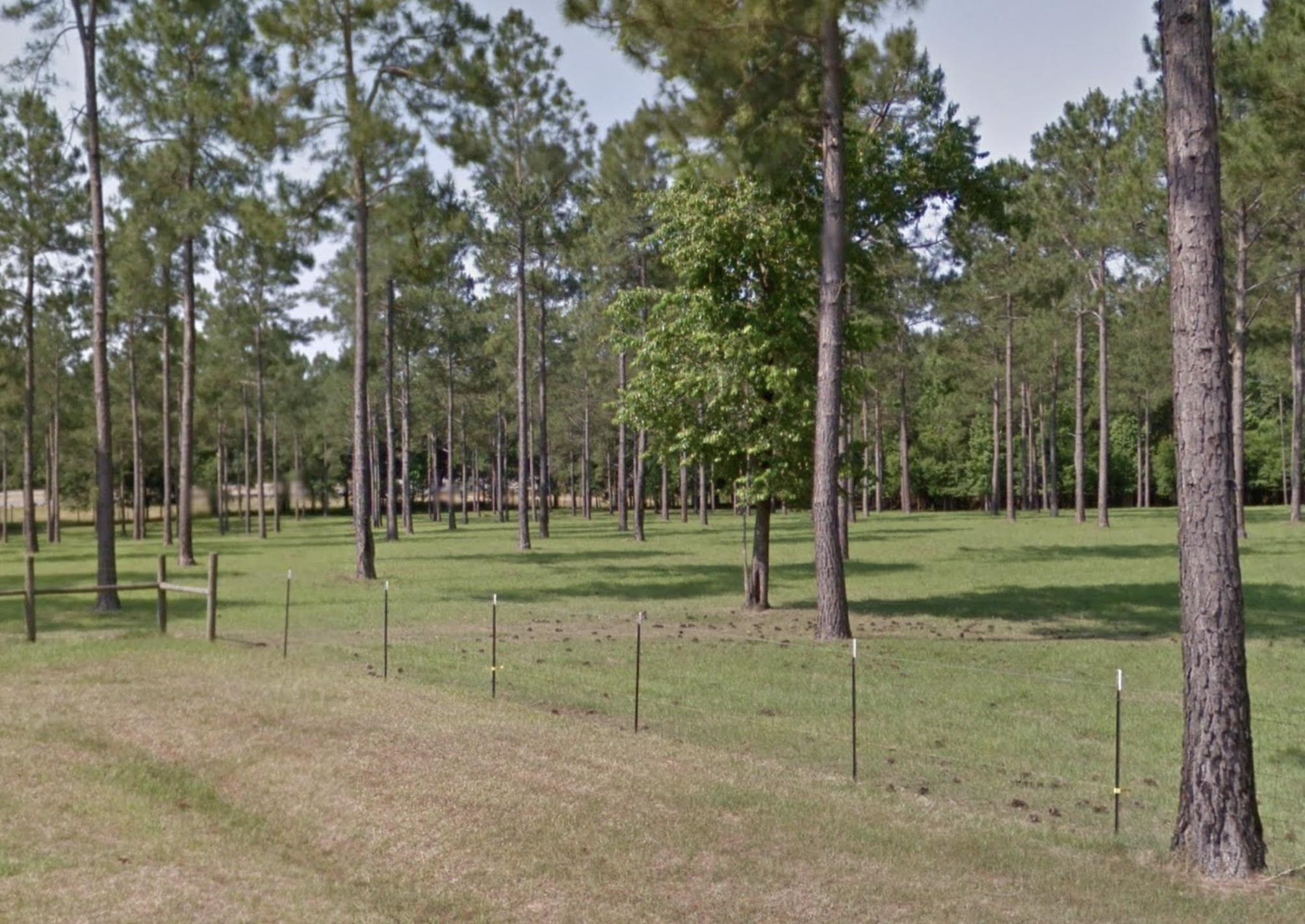 Turkey Roost Road, Tallahassee, Florida image 10