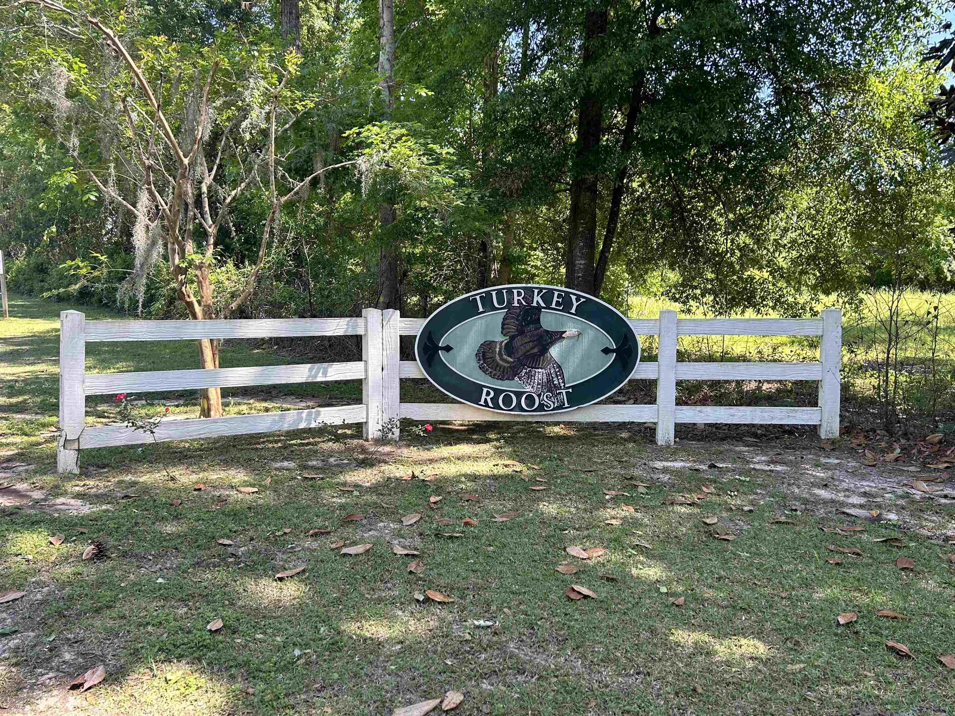 Turkey Roost Road, Tallahassee, Florida image 13