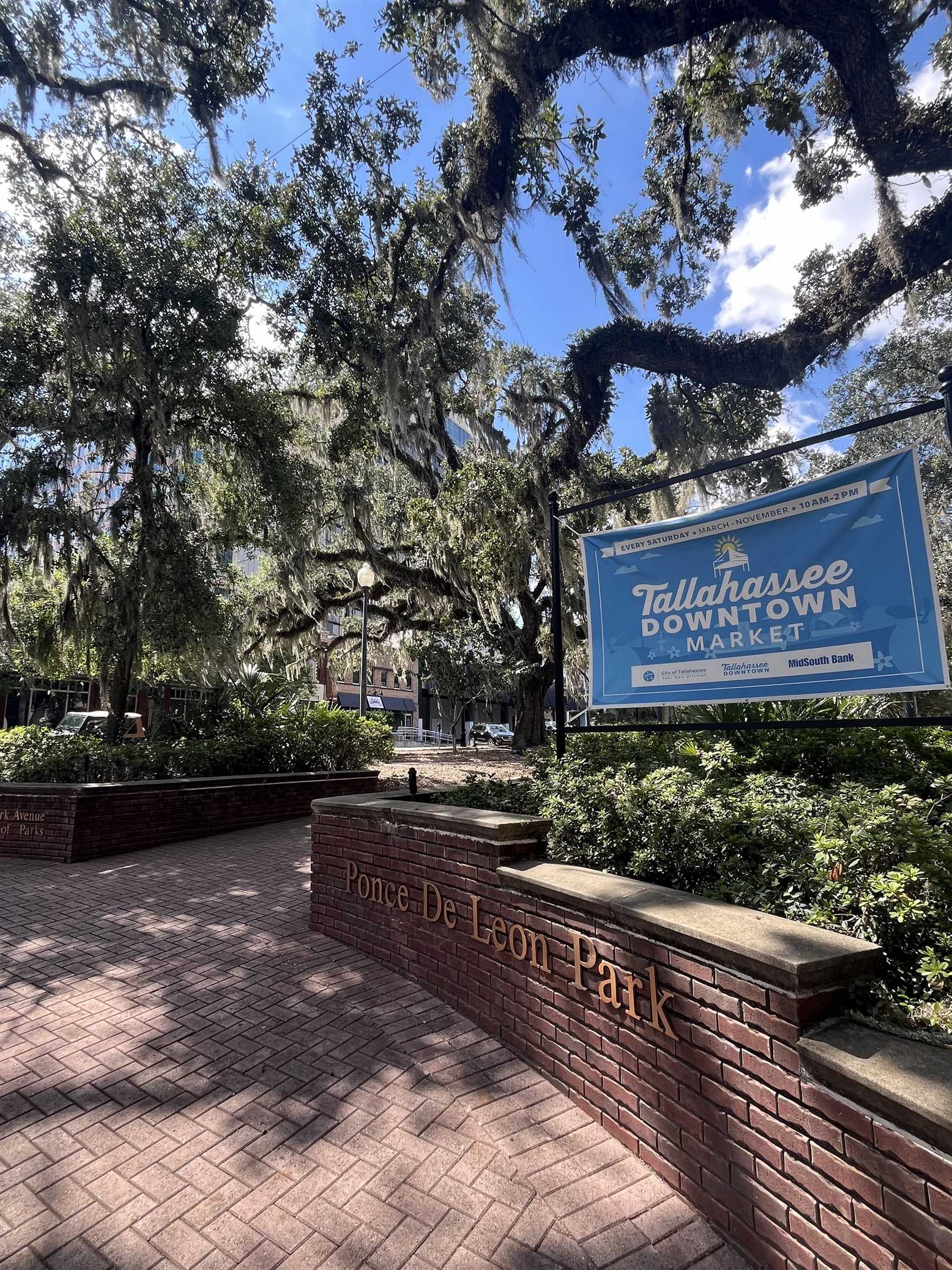 300 S Duval Street #1402, Tallahassee, Texas image 41