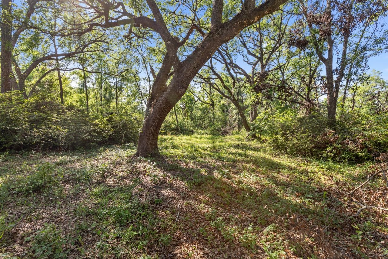 4014 Ashville Highway, Monticello, Florida image 32