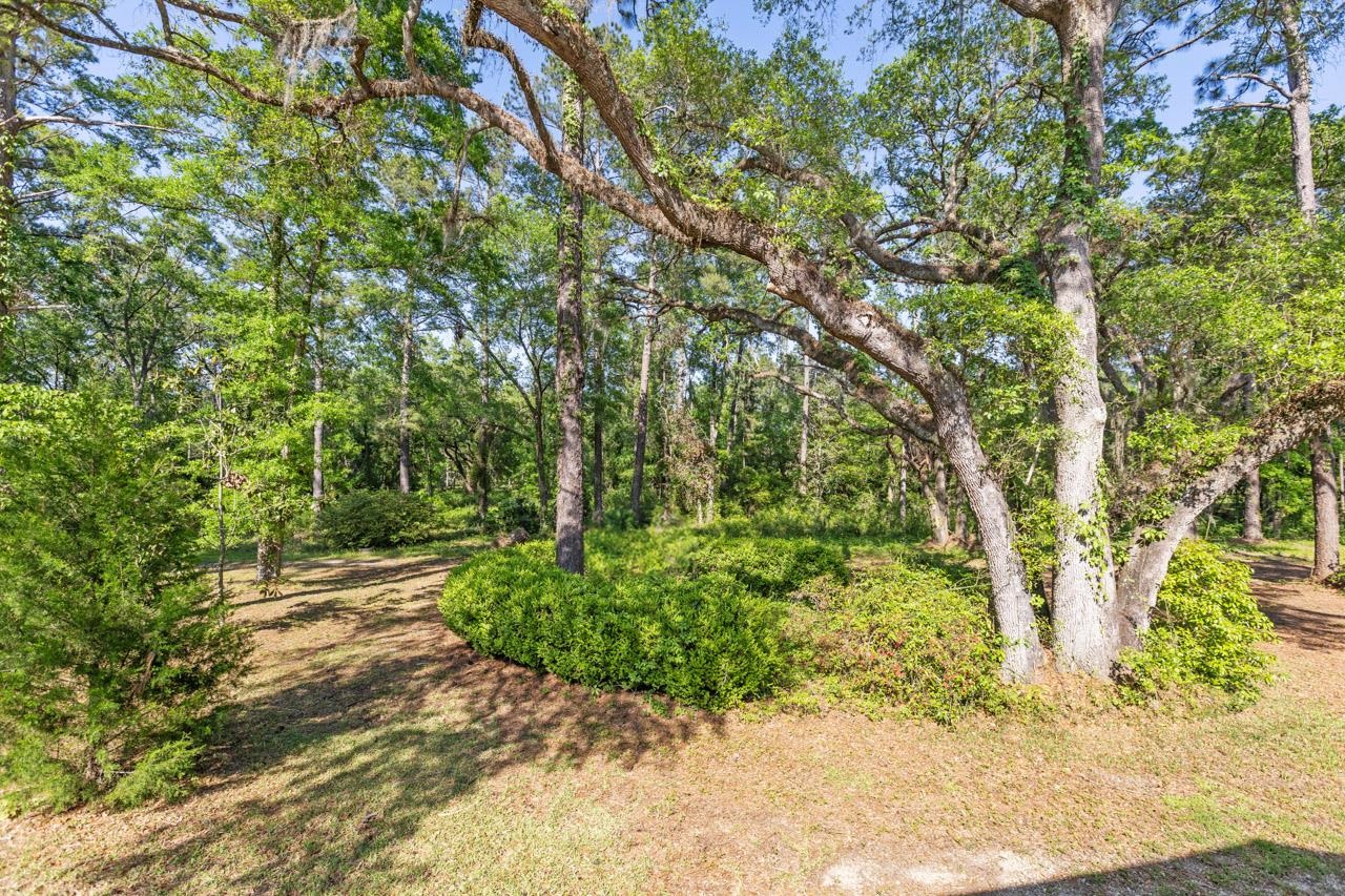 4014 Ashville Highway, Monticello, Florida image 33