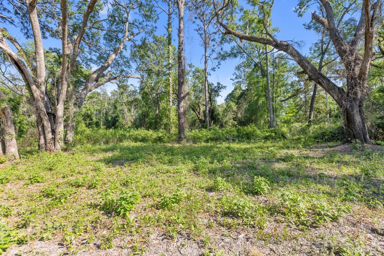 4014 Ashville Highway, Monticello, Florida image 34