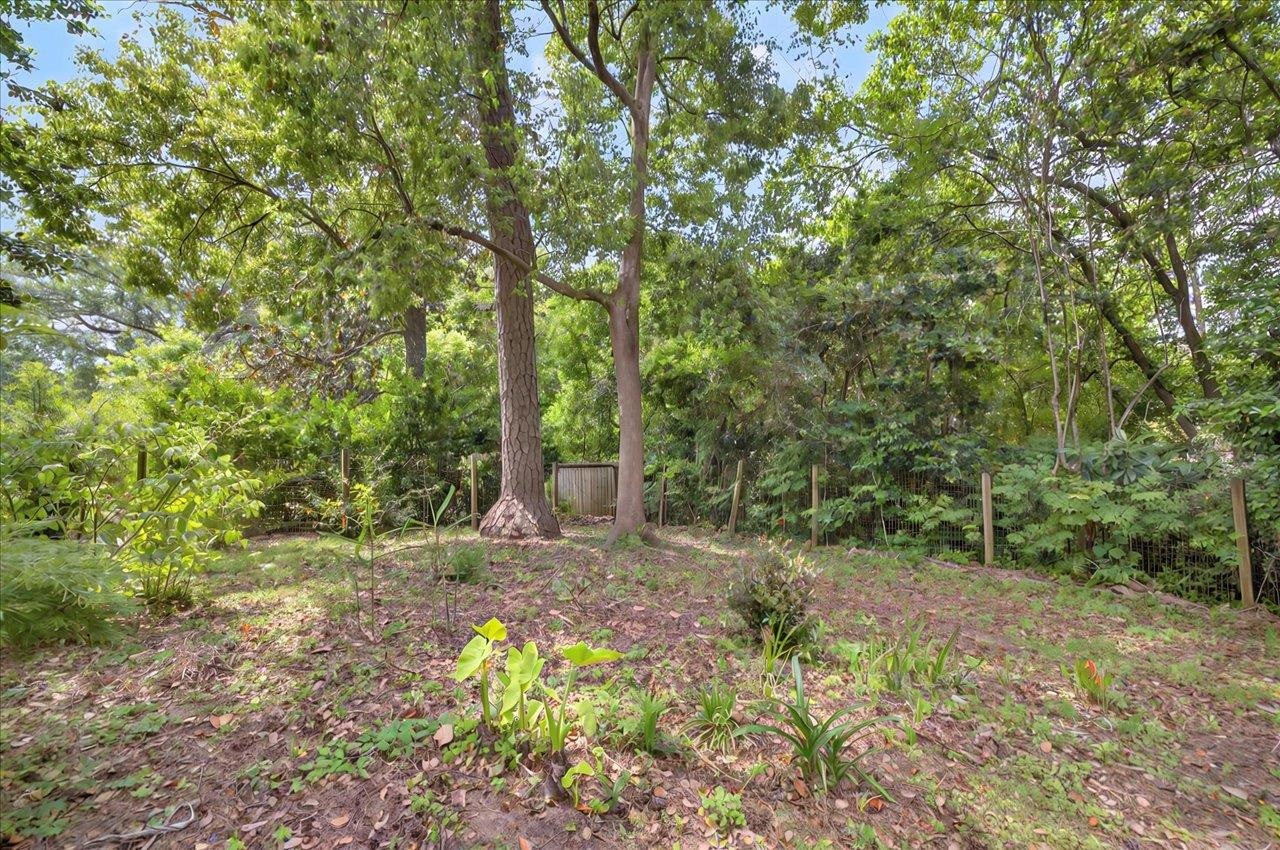 1538 Lee Avenue, Tallahassee, Texas image 34