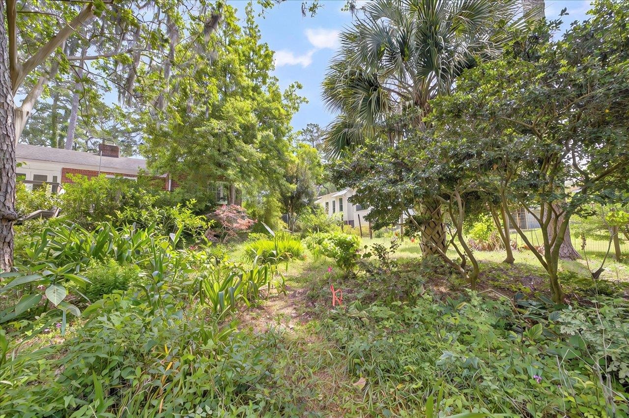 1538 Lee Avenue, Tallahassee, Texas image 36