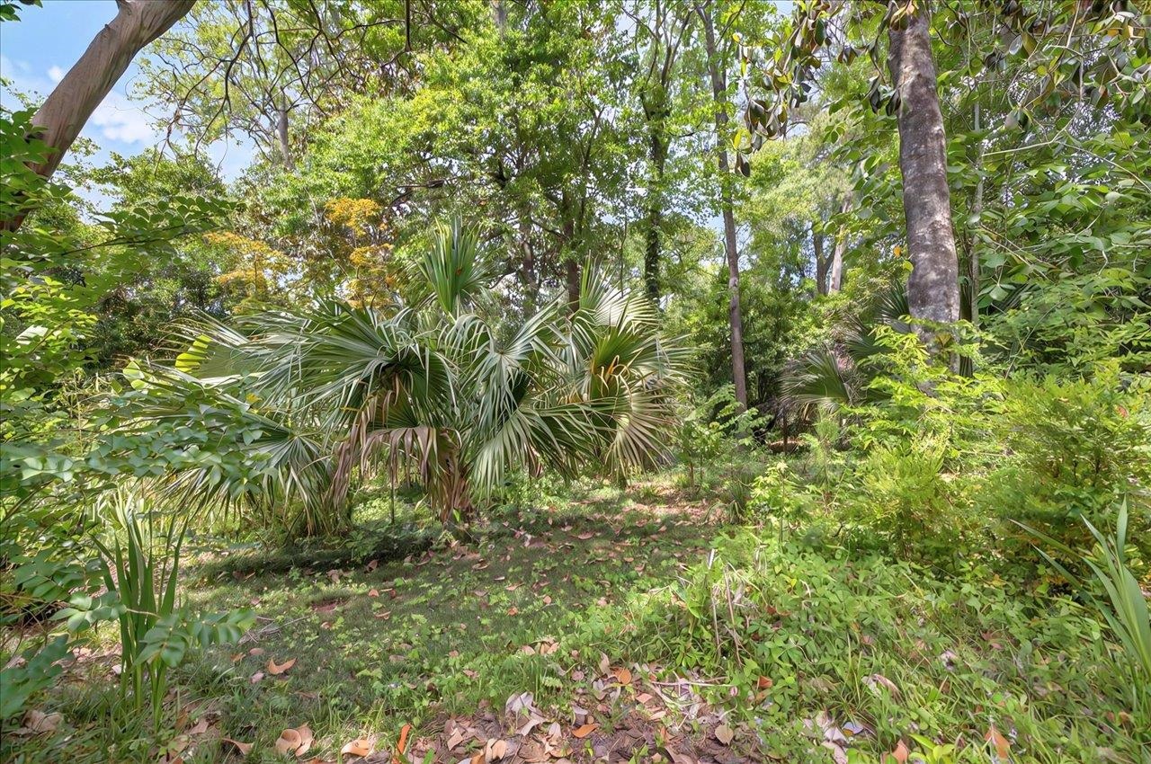 1538 Lee Avenue, Tallahassee, Texas image 38