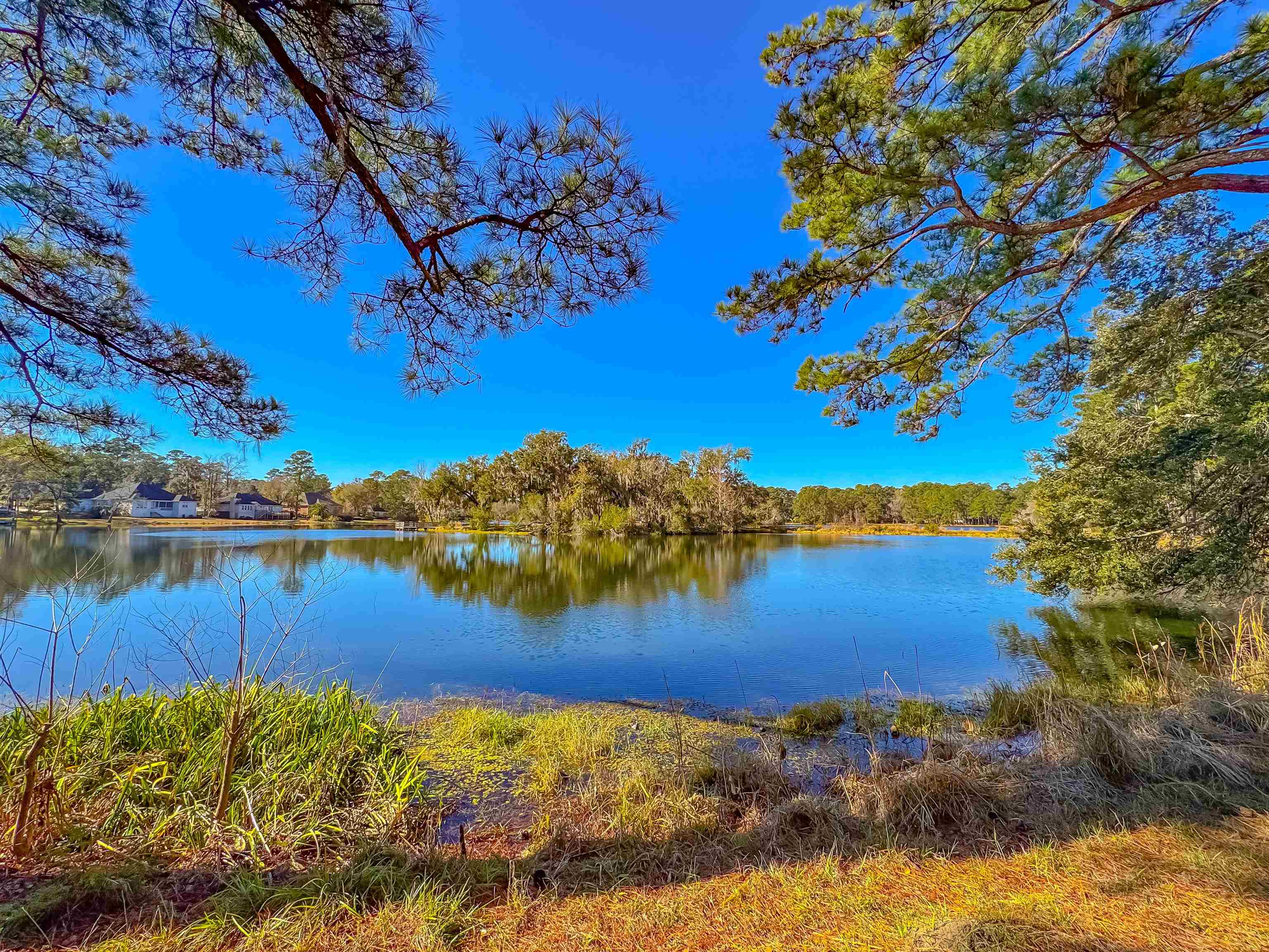 2825 Turkey Hill Trail, Tallahassee, Florida image 42
