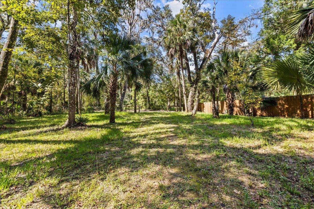 1528 NE Palm Street, Steinhatchee, Florida image 14