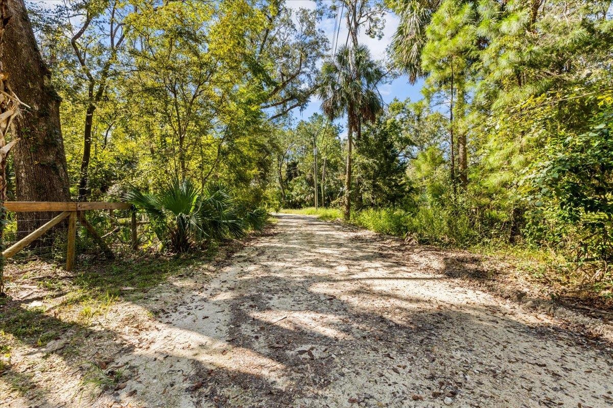 1528 NE Palm Street, Steinhatchee, Florida image 16