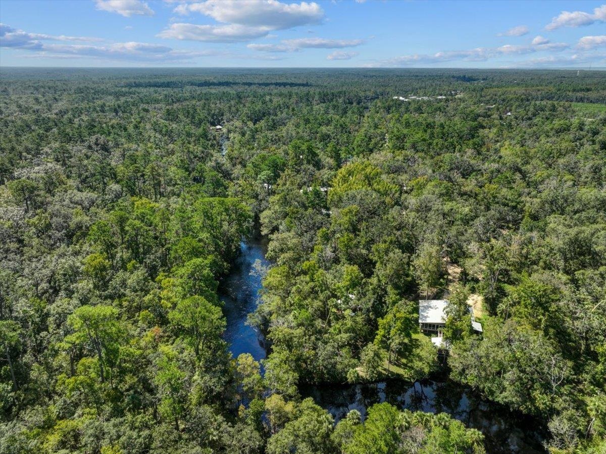 1528 NE Palm Street, Steinhatchee, Florida image 23
