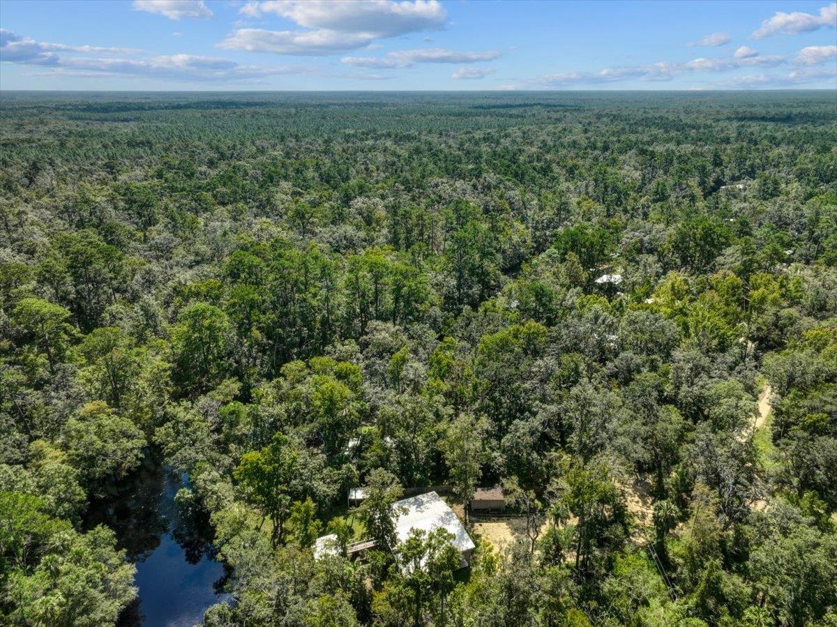 1528 NE Palm Street, Steinhatchee, Florida image 24