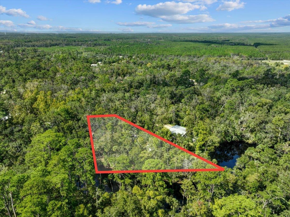 1528 NE Palm Street, Steinhatchee, Florida image 26