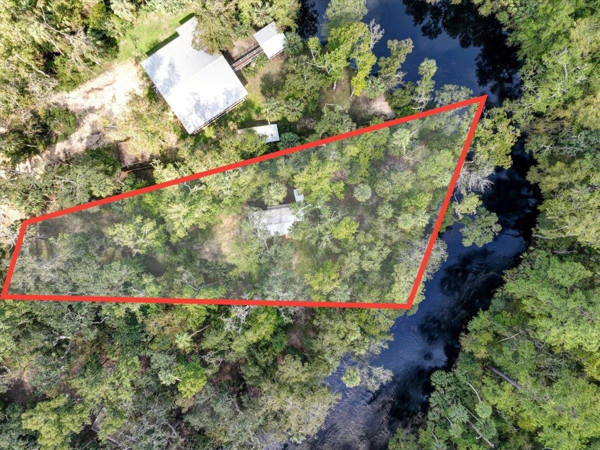 1528 NE Palm Street, Steinhatchee, Florida image 3