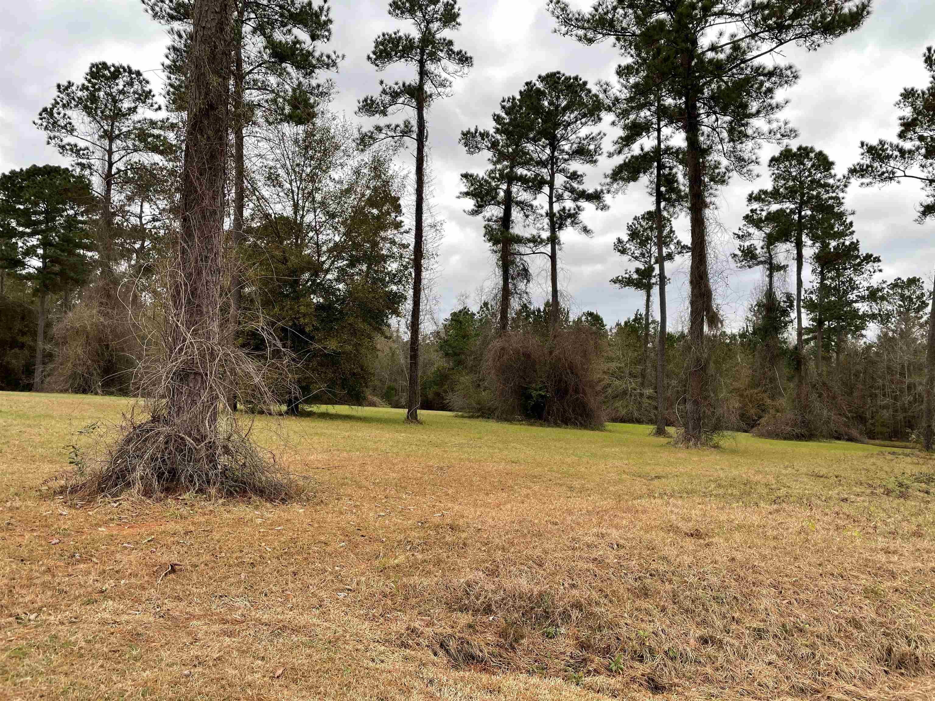 Lot 19 Wisteria Lane, Havana, Florida image 1
