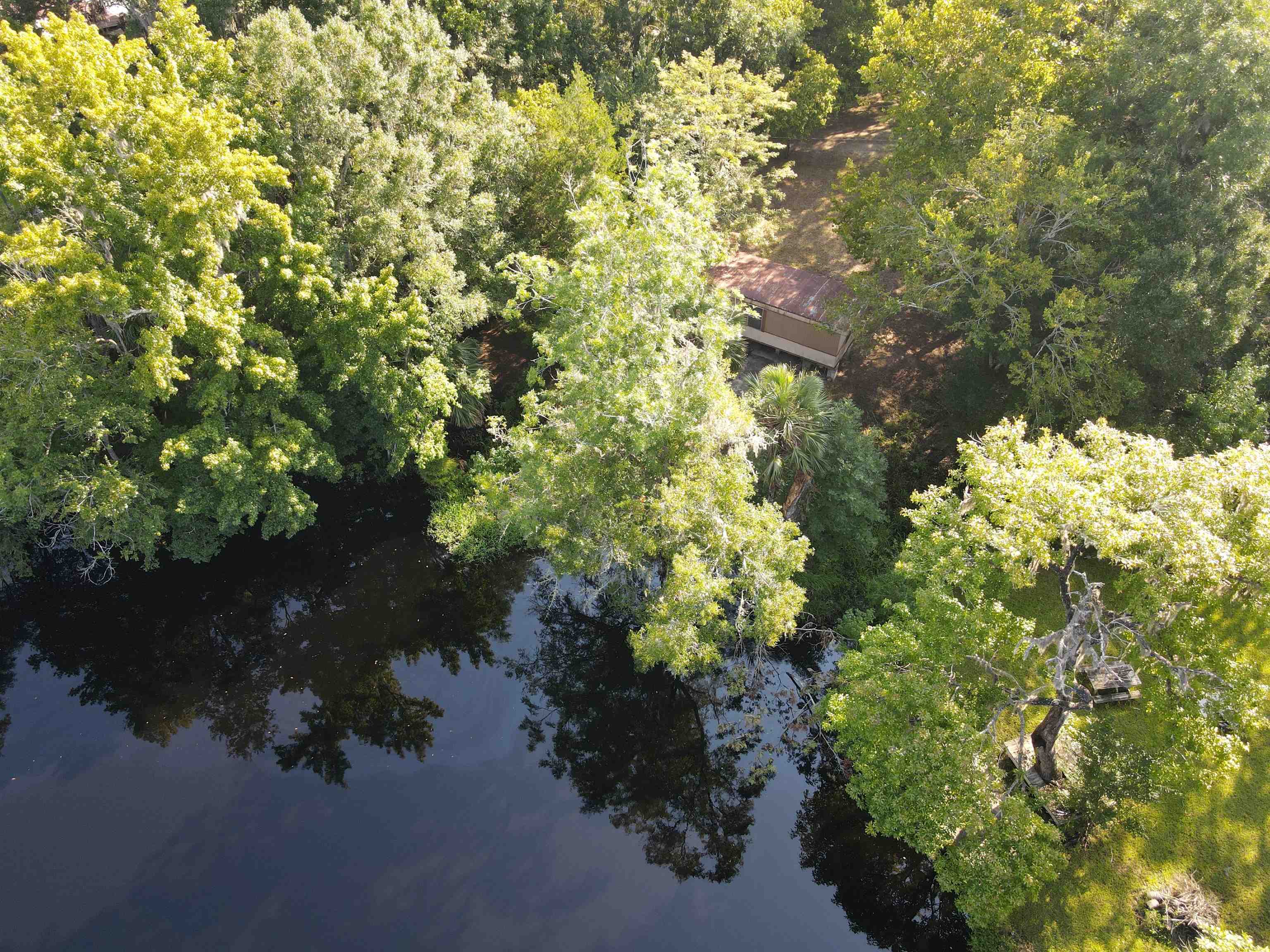 23210 Nutall Rise Road, Lamont, Florida image 14