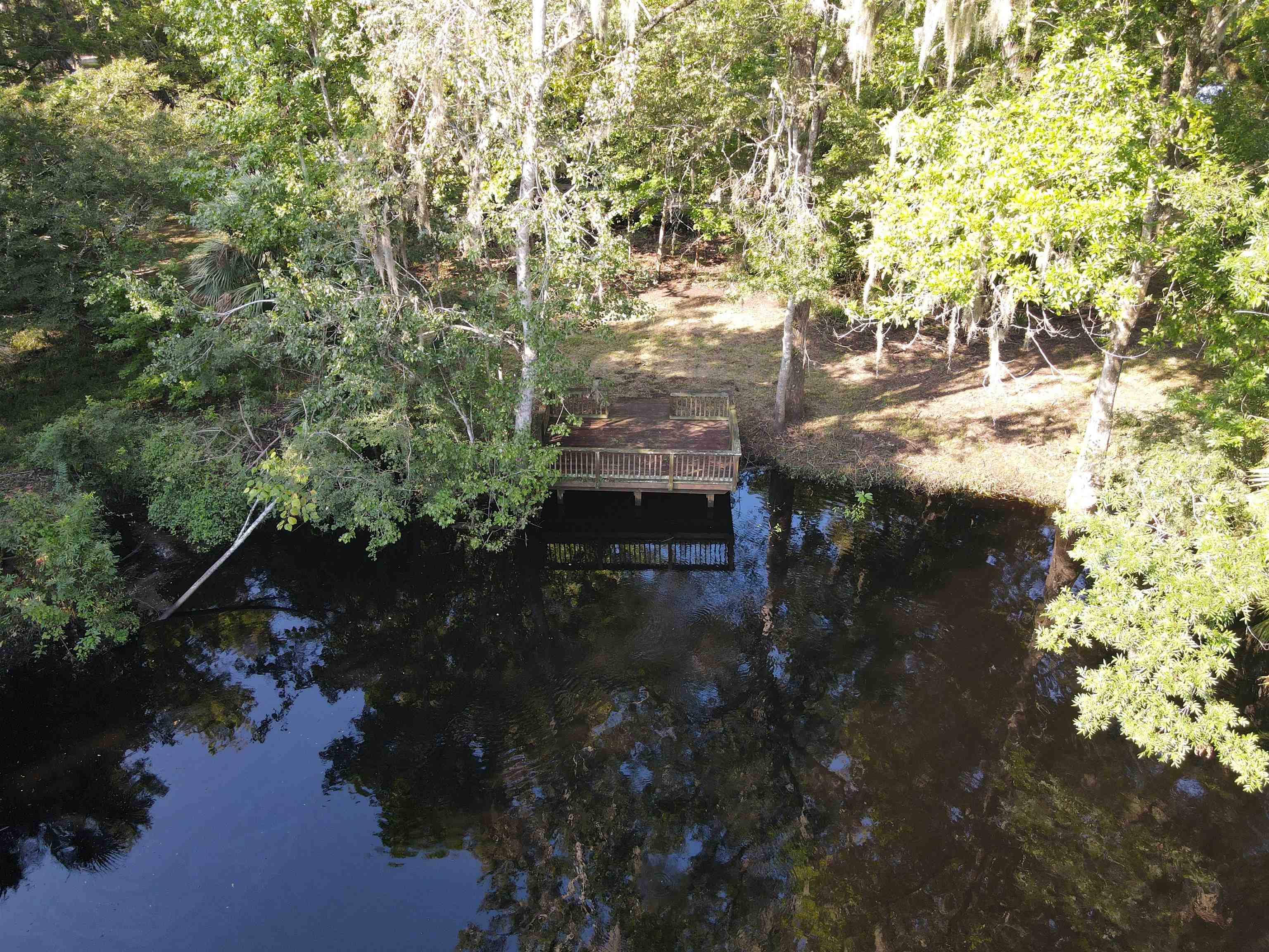 23210 Nutall Rise Road, Lamont, Florida image 16