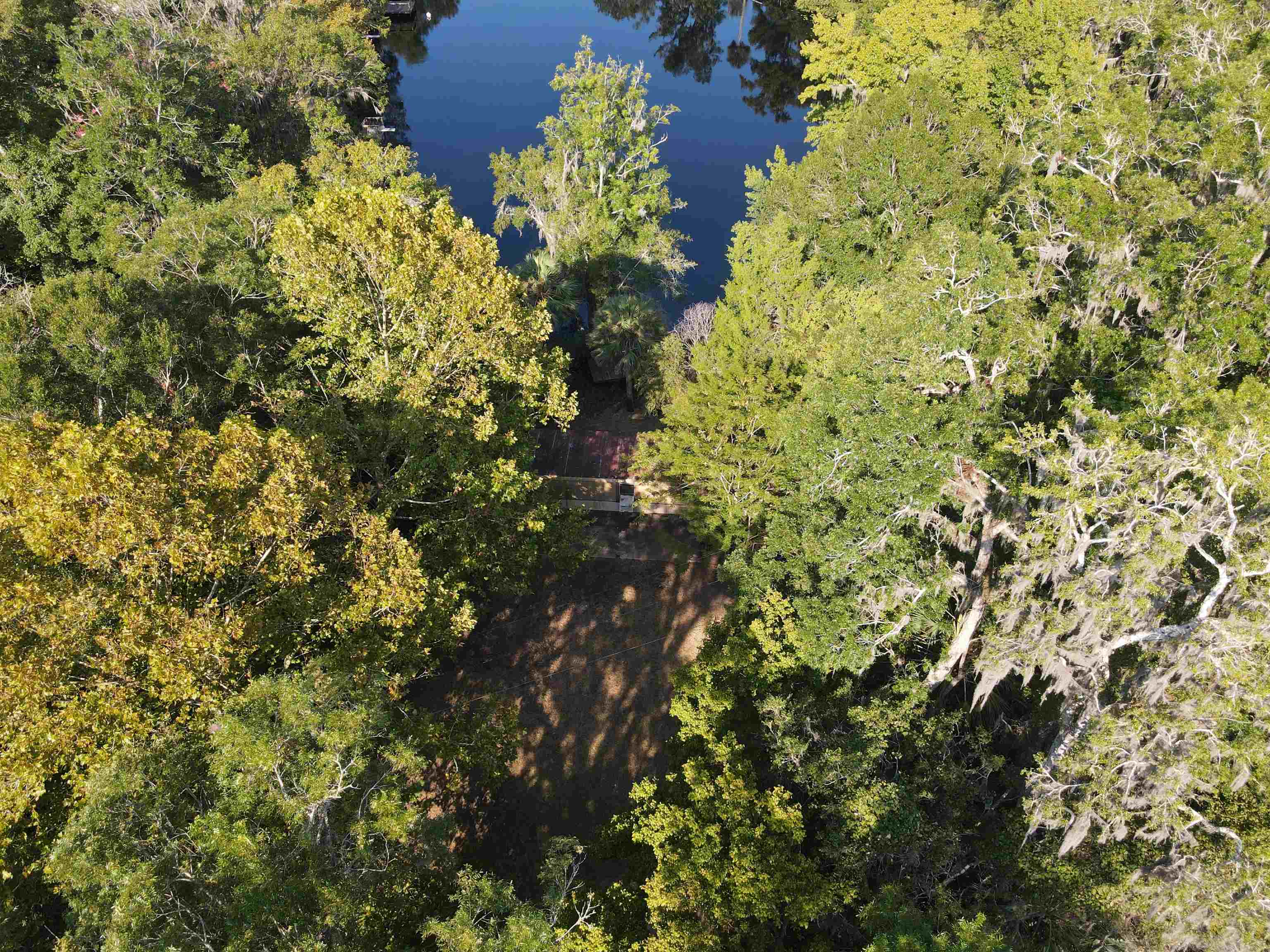 23210 Nutall Rise Road, Lamont, Florida image 17