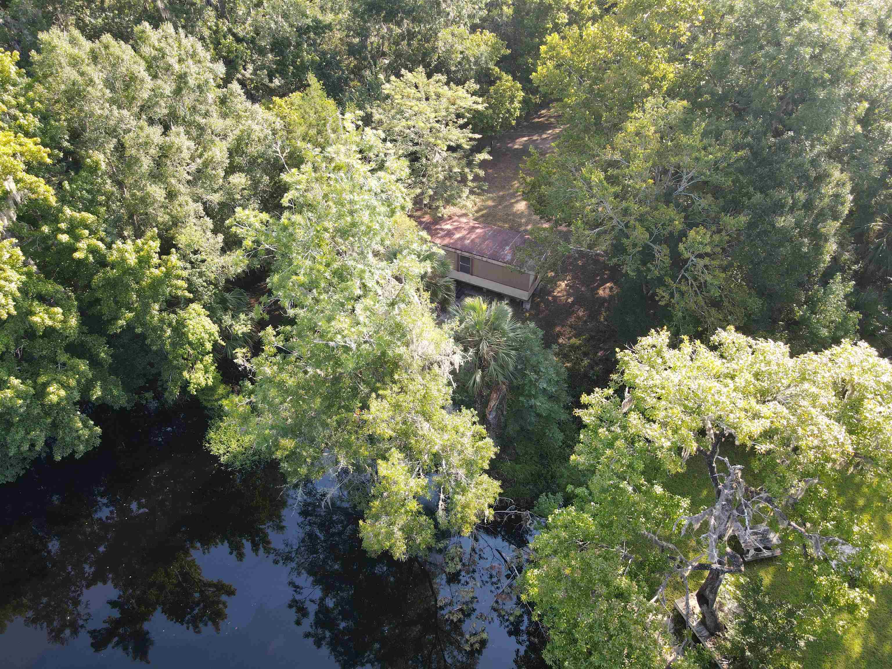 23210 Nutall Rise Road, Lamont, Florida image 19