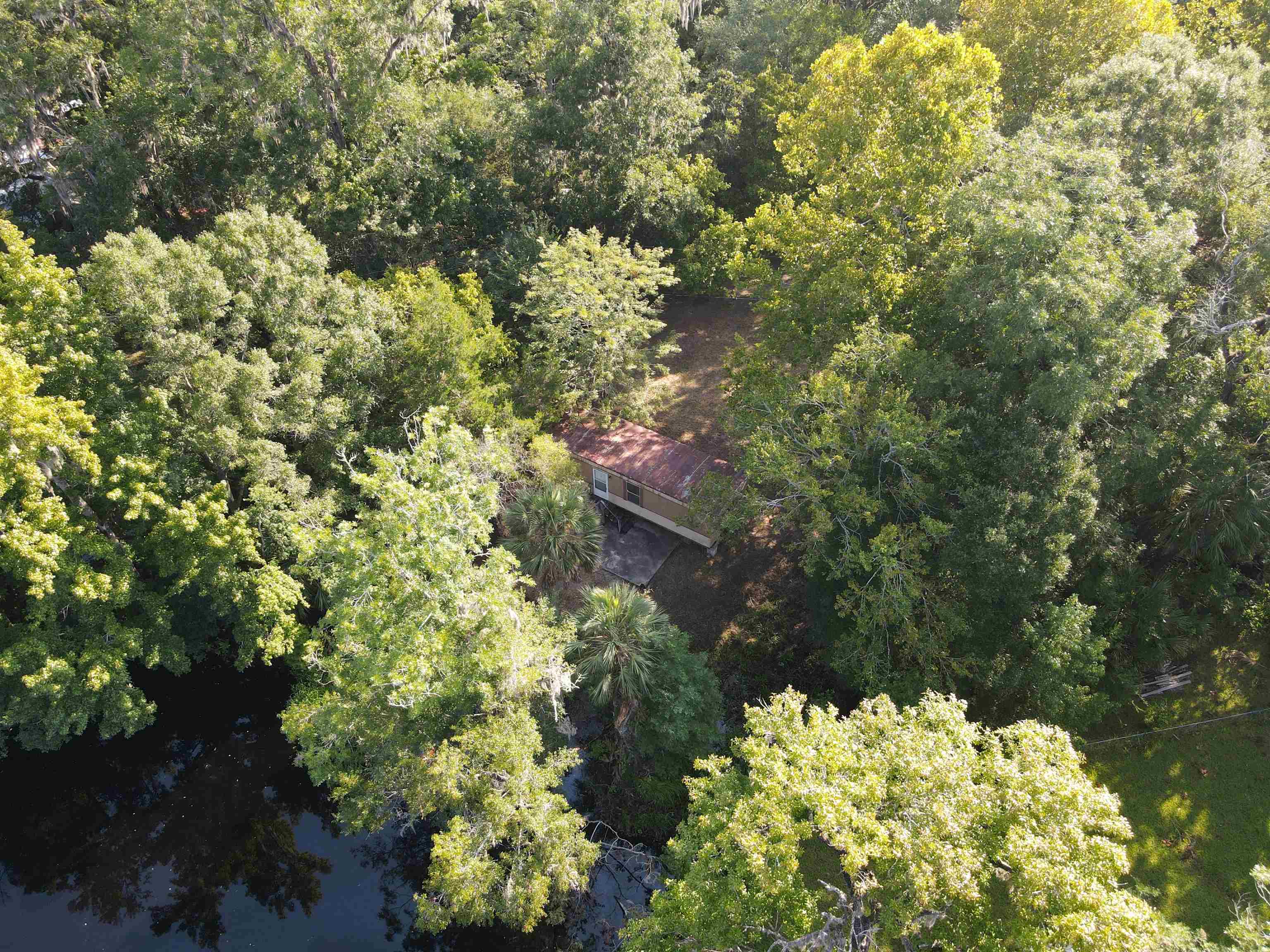23210 Nutall Rise Road, Lamont, Florida image 20