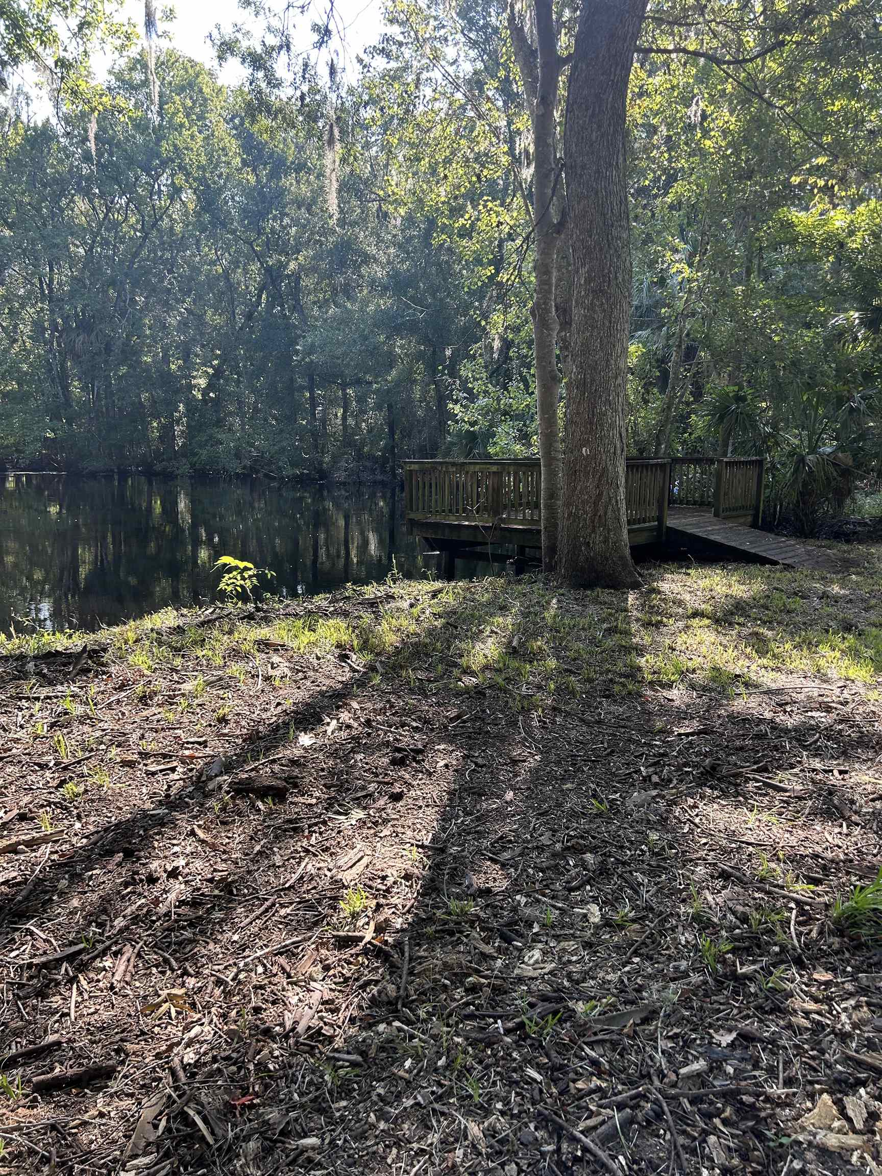 23210 Nutall Rise Road, Lamont, Florida image 21