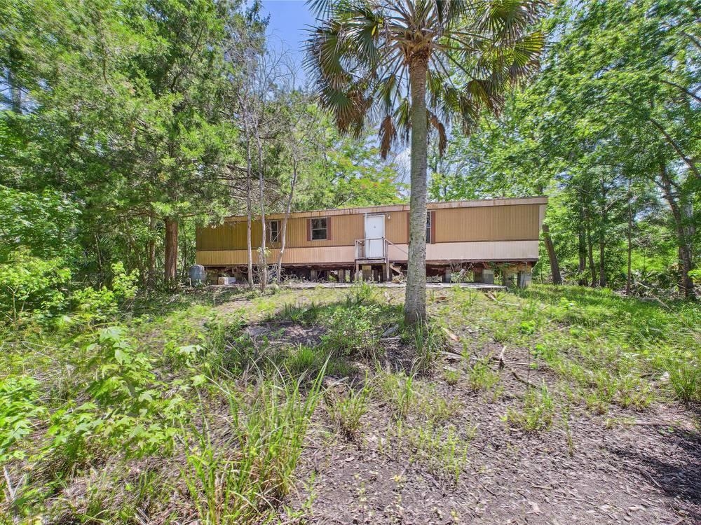 23210 Nutall Rise Road, Lamont, Florida image 3