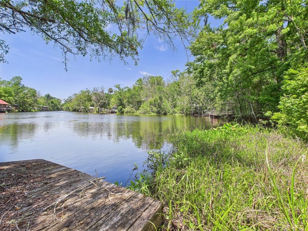 23210 Nutall Rise Road, Lamont, Florida image 7