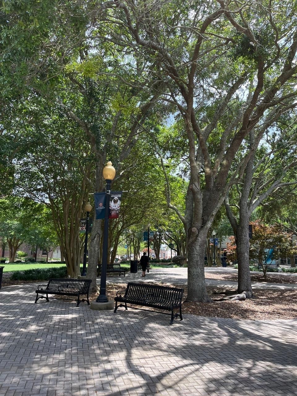 215 W College Avenue #511, Tallahassee, Florida image 13